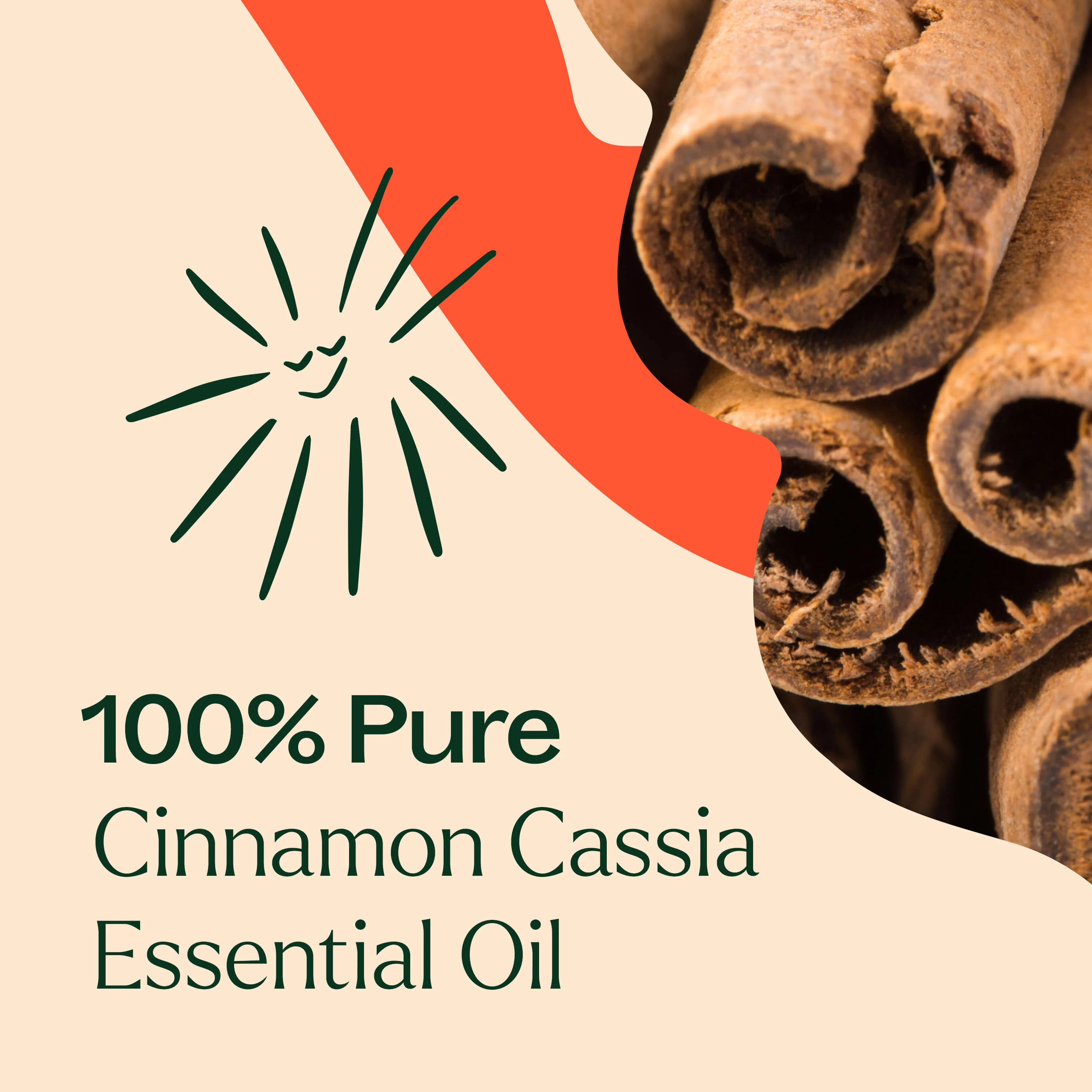 Cinnamon Cassia Essential Oil - Image 7