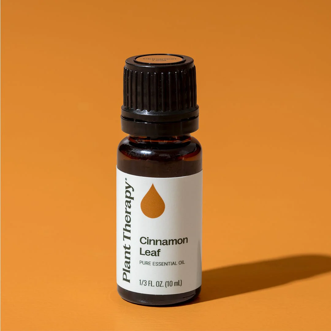 Cinnamon Leaf Essential Oil - Image 10