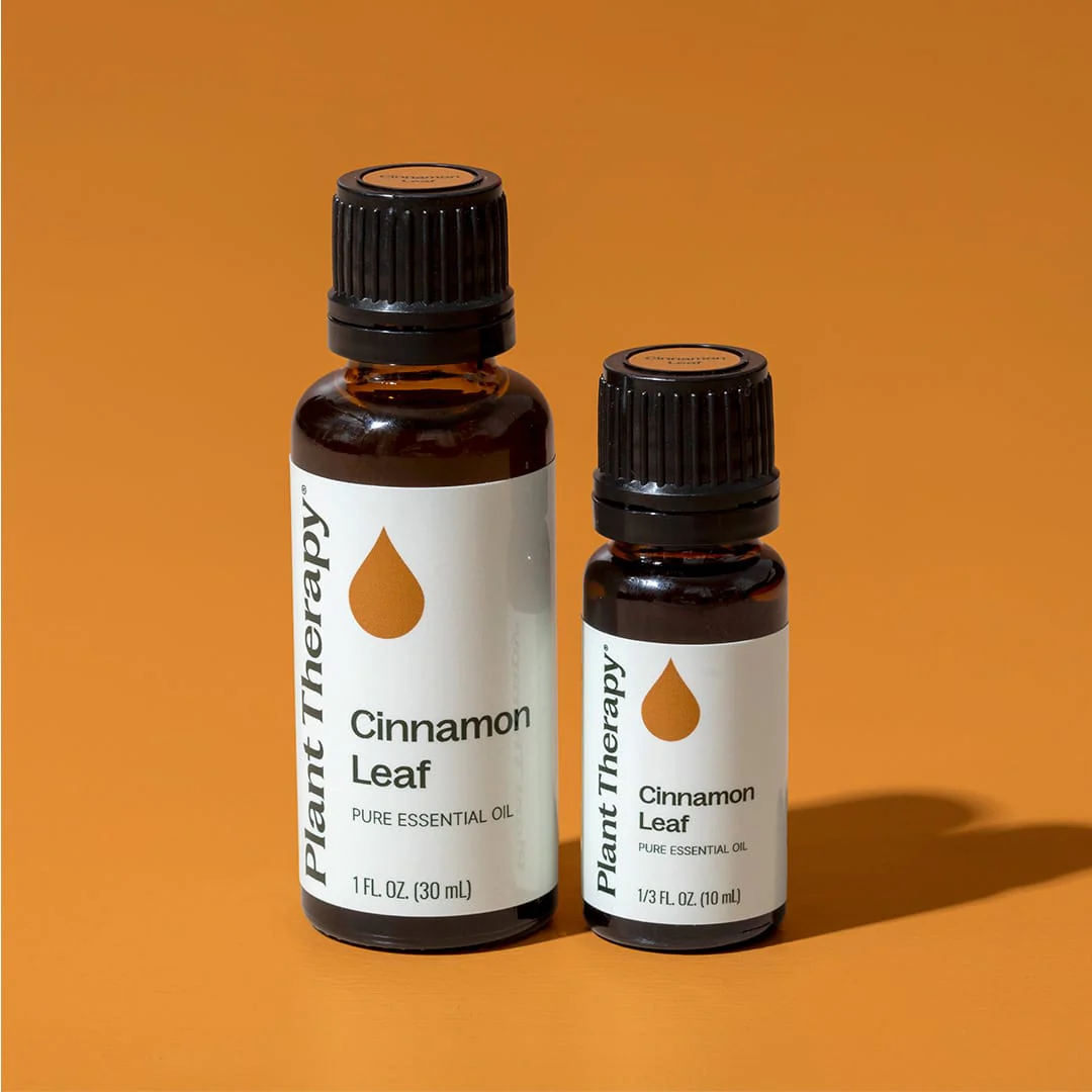 Cinnamon Leaf Essential Oil - Image 12