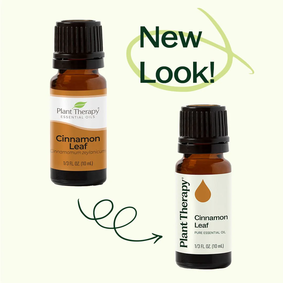 Cinnamon Leaf Essential Oil - Image 4