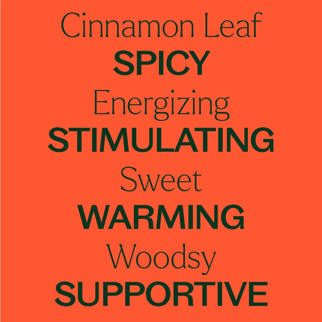 Cinnamon Leaf Essential Oil - Image 6