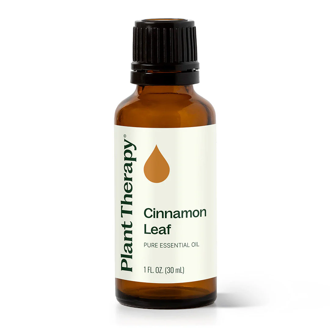 Cinnamon Leaf Essential Oil - Image 8