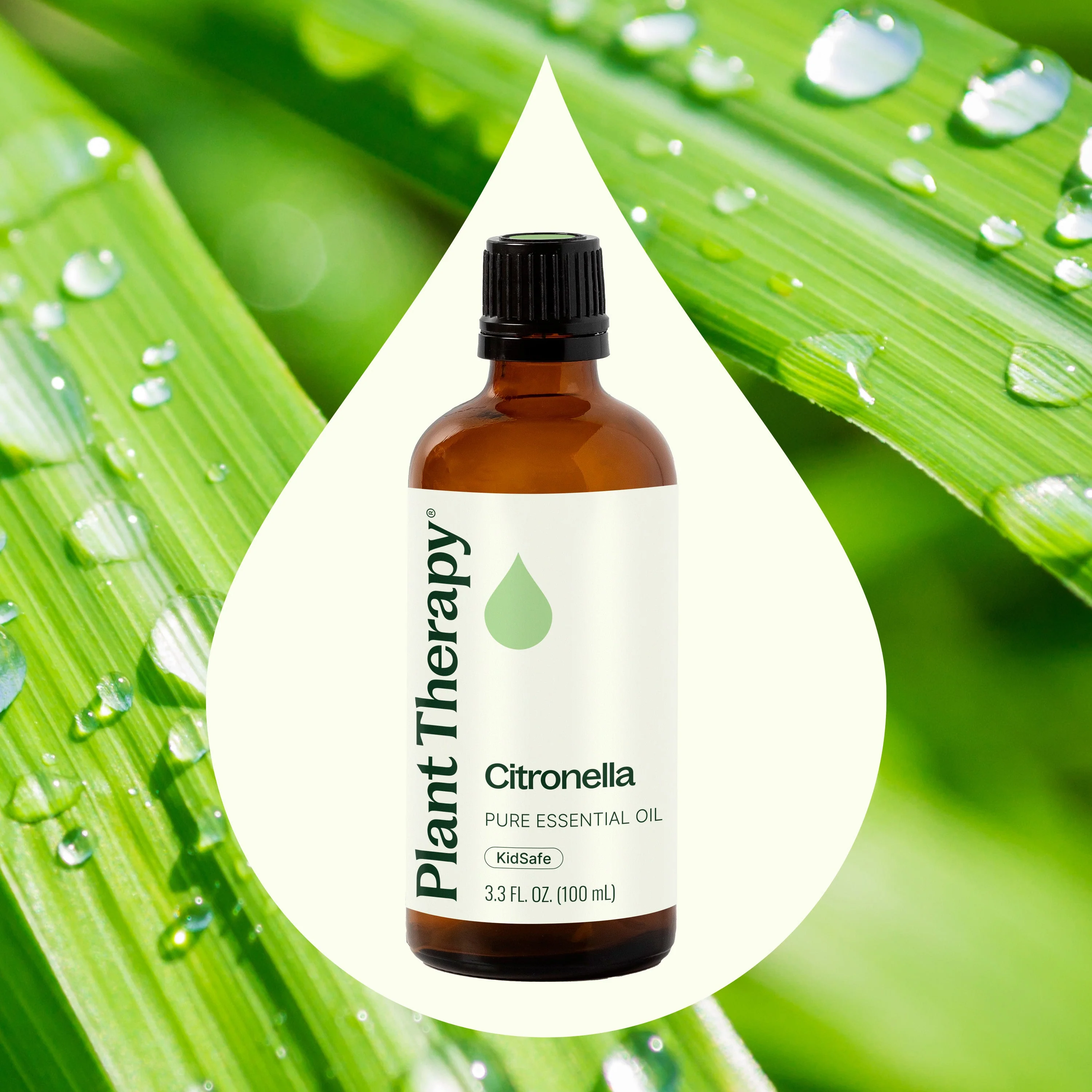 Citronella Essential Oil - Image 12