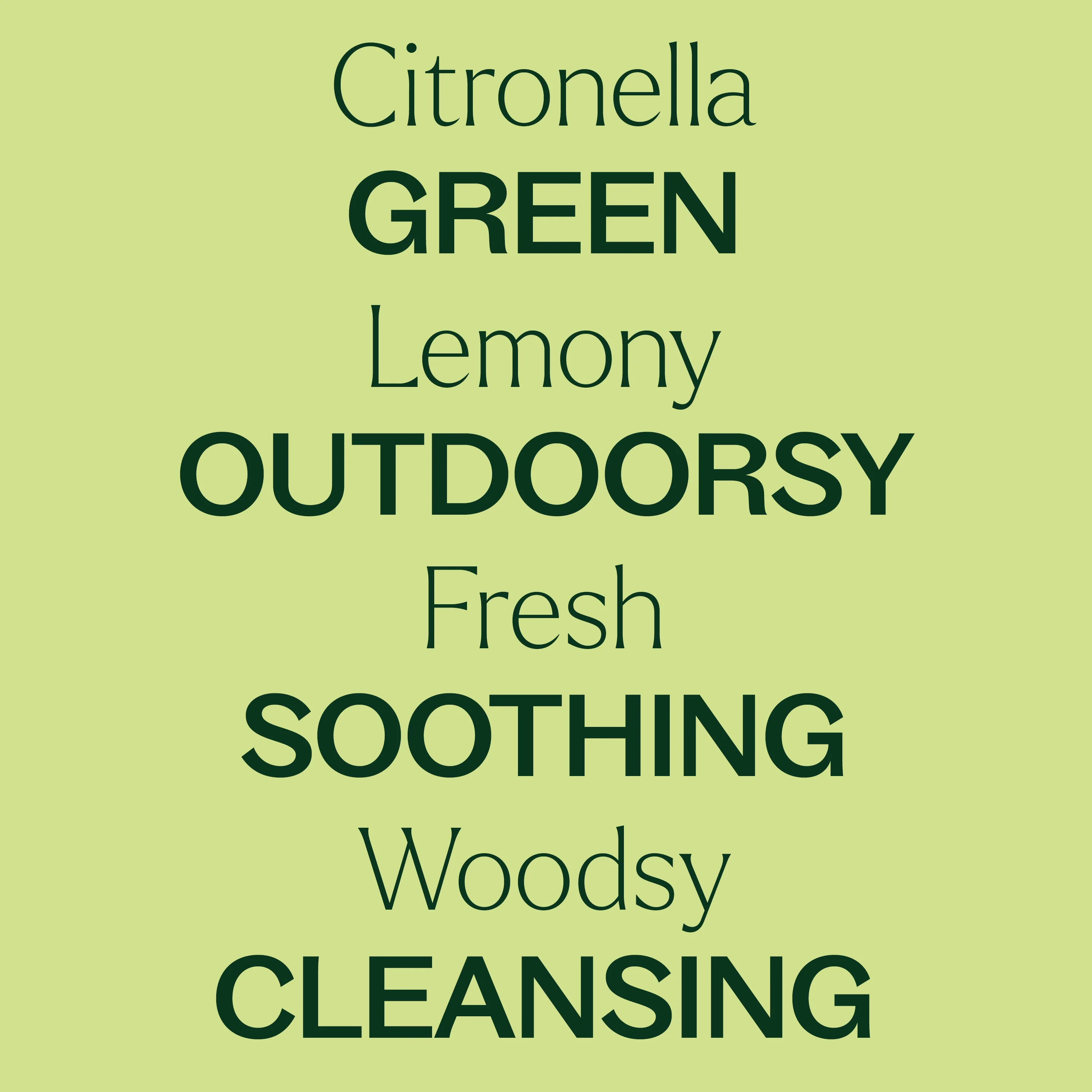 Citronella Essential Oil - Image 4