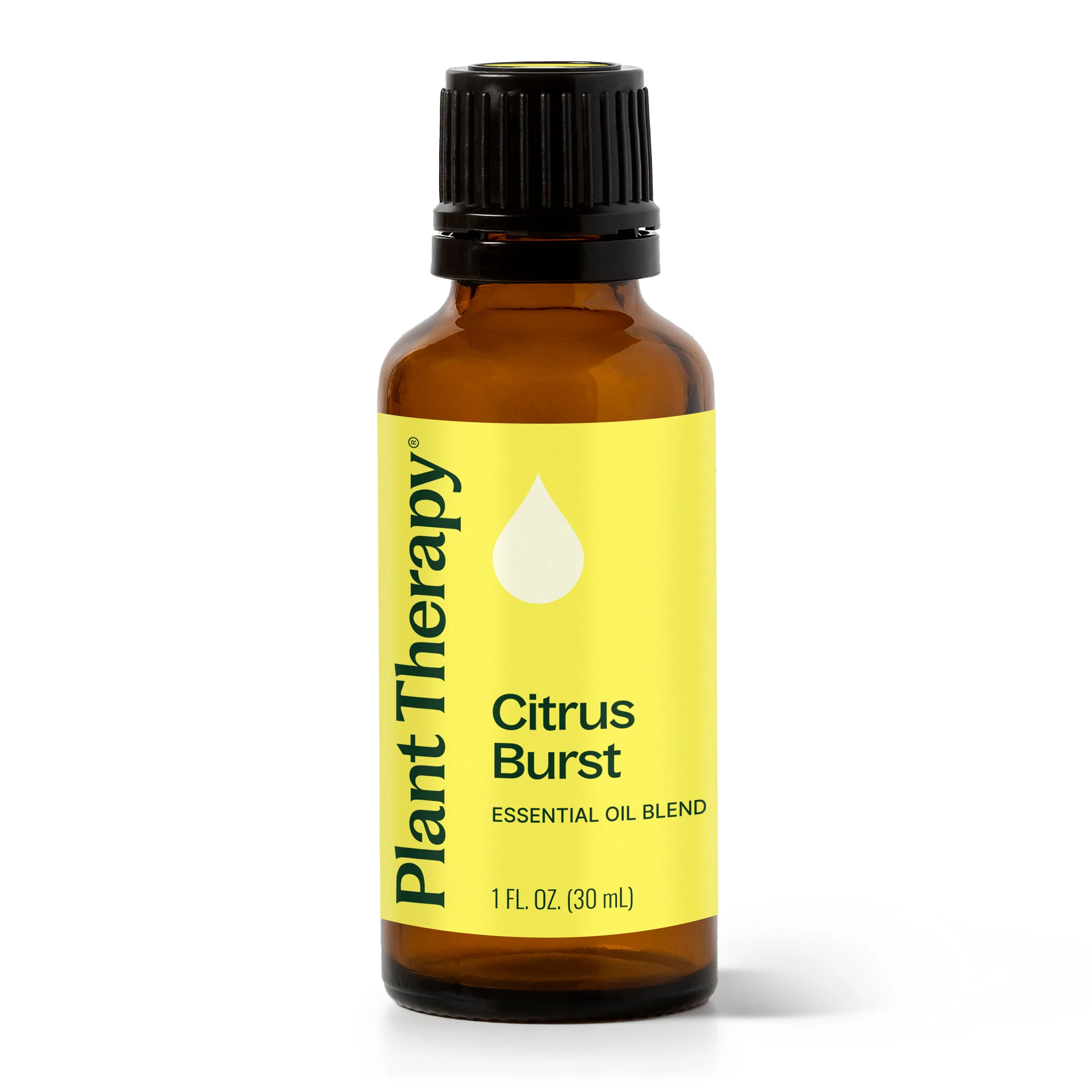 Citrus Burst Essential Oil Blend - Image 11