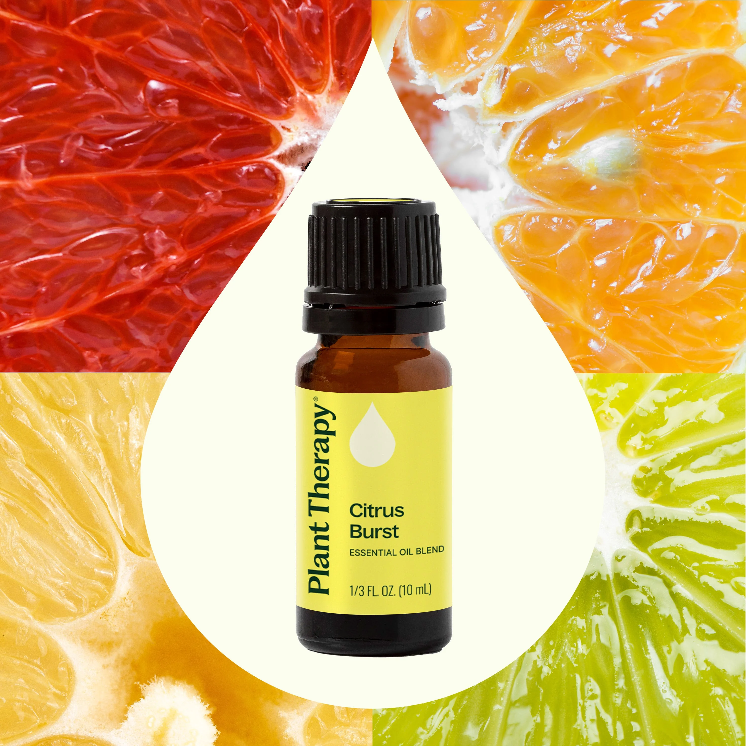 Citrus Burst Essential Oil Blend - Image 2