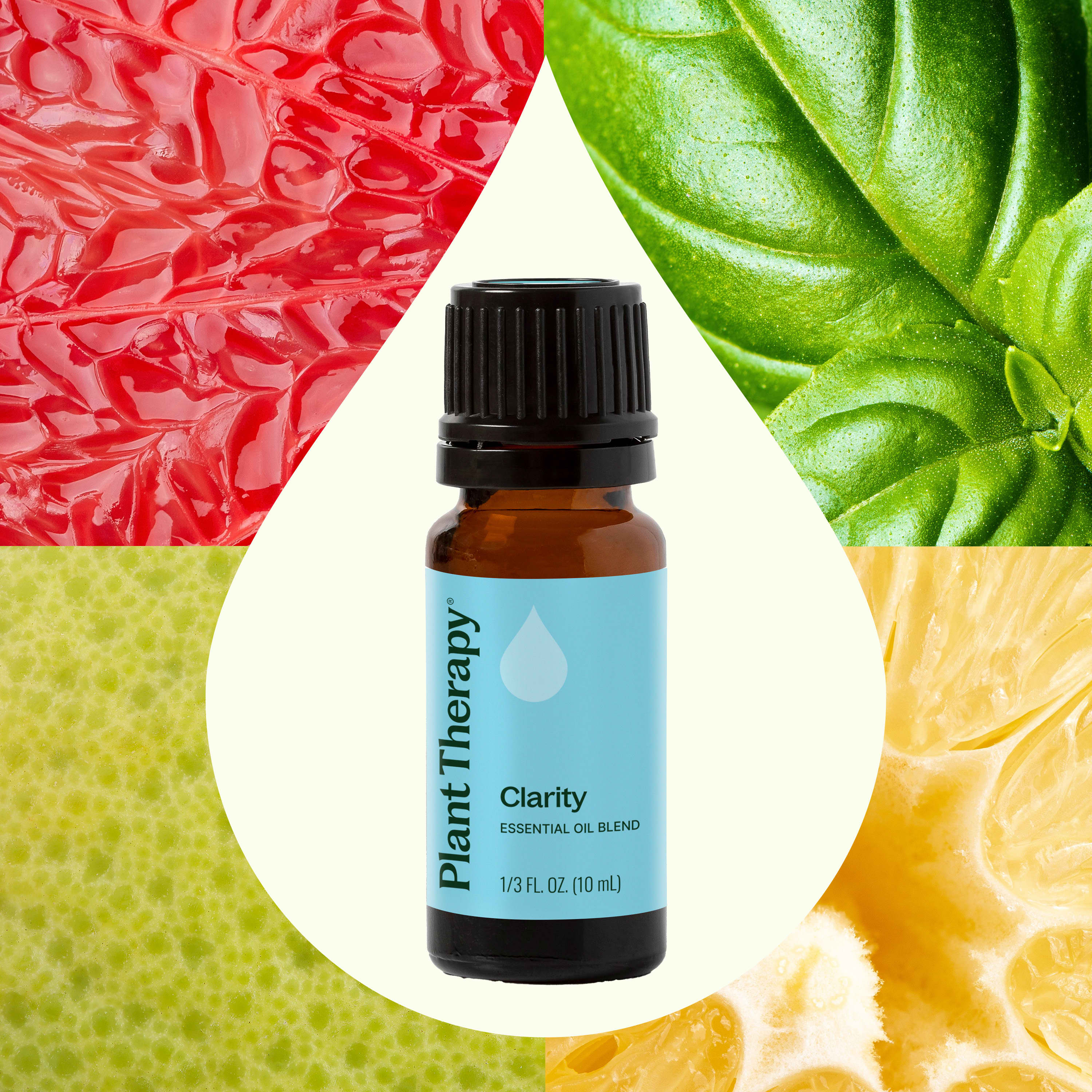 Clarity Essential Oil Blend - Image 2