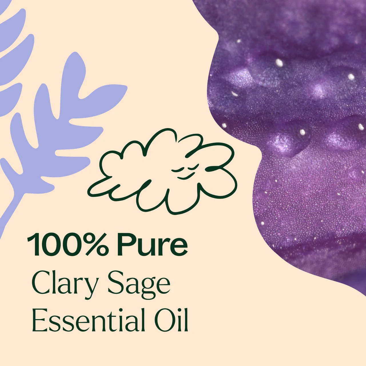 Clary Sage Essential Oil - Image 4