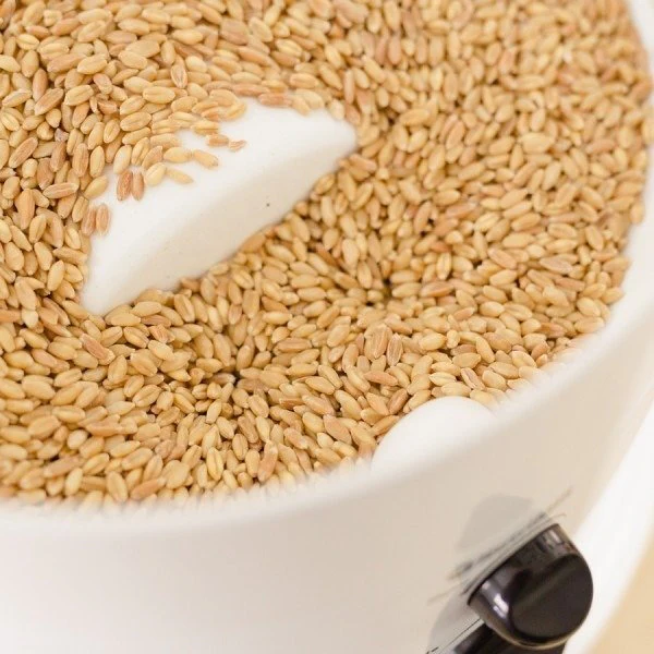 Classic Grain Mill - Image 4