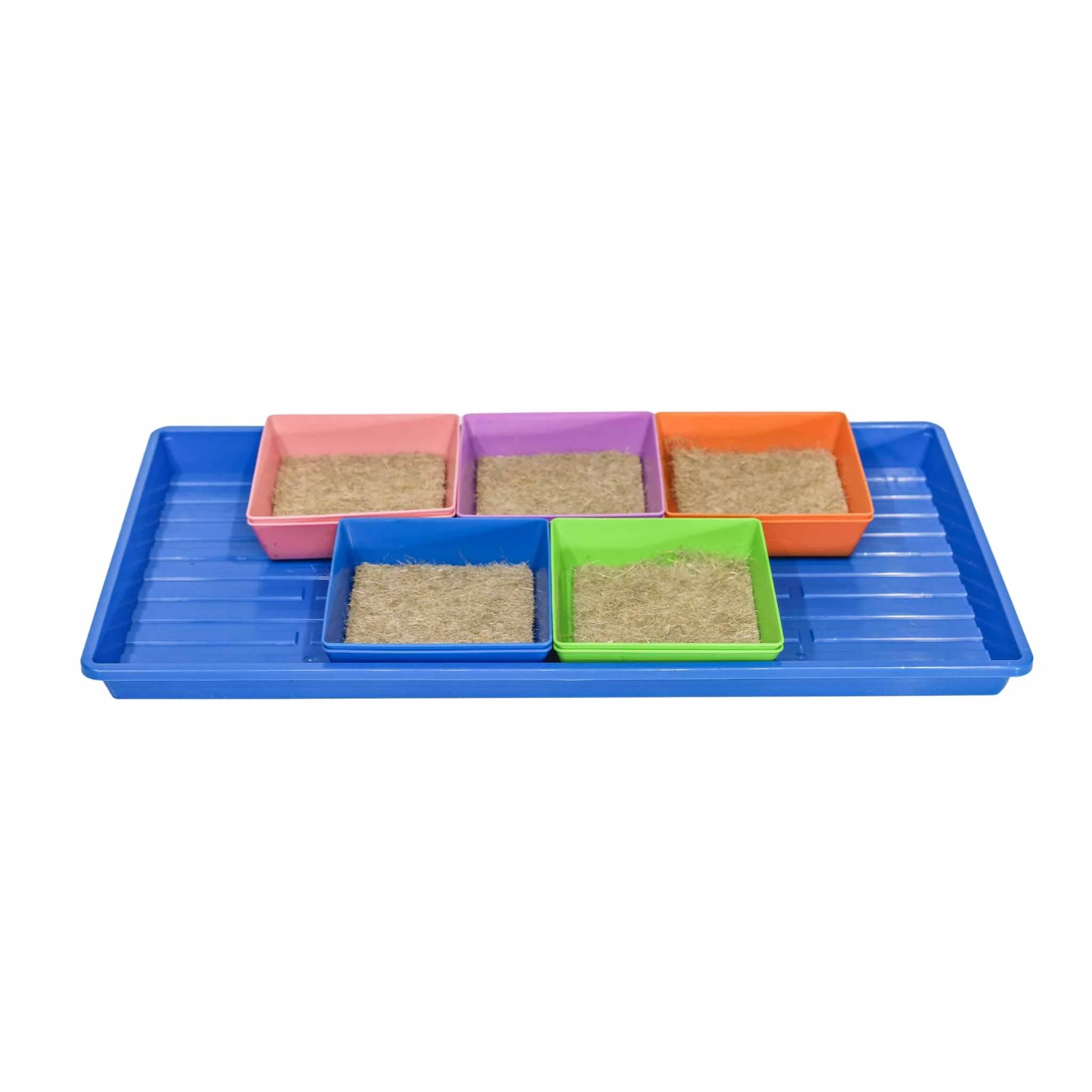 Classroom Microgreens Bundle - Image 2