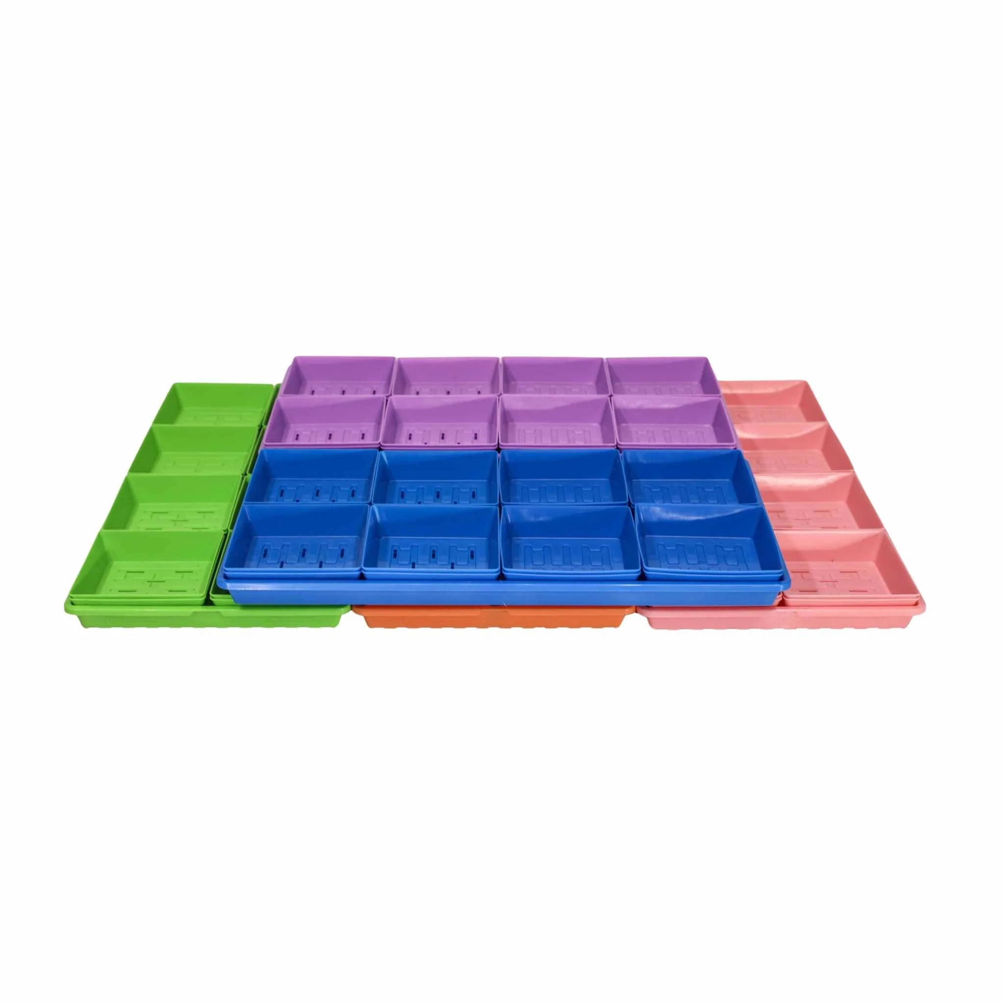 Classroom Microgreens Bundle - Image 4