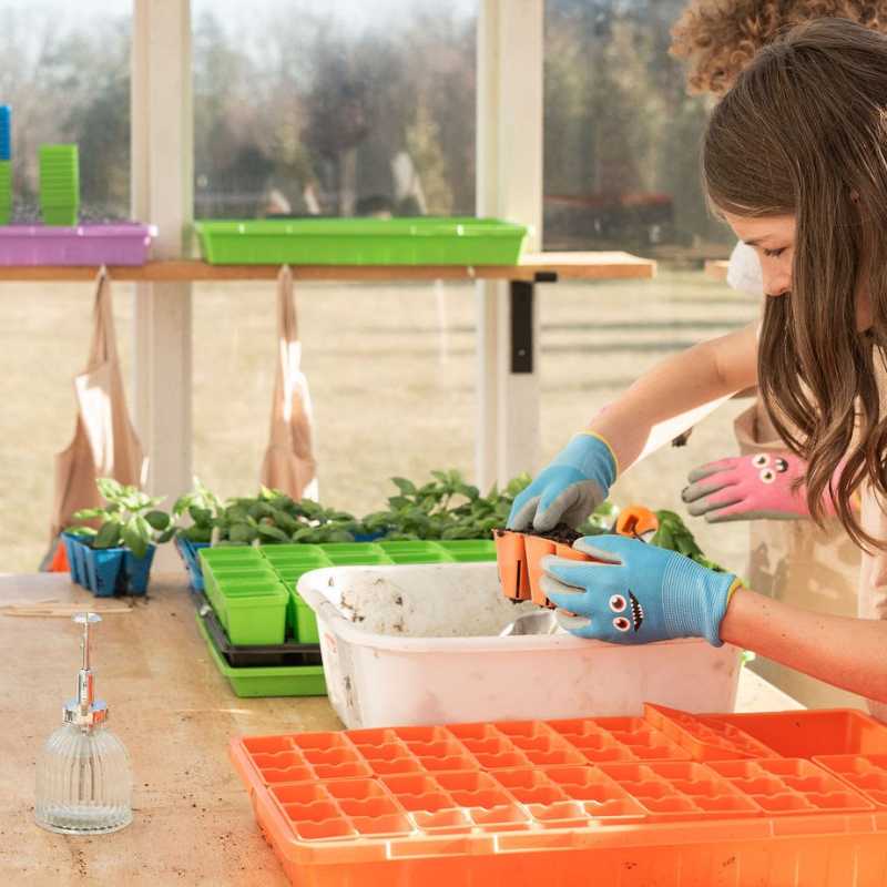 Classroom Seed Starting Bundle - Image 4