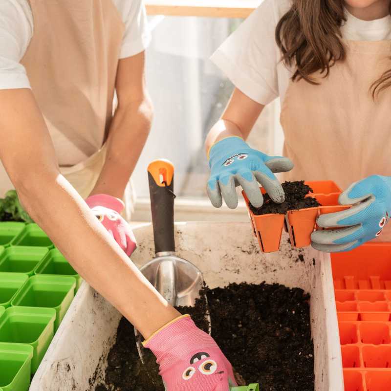 Classroom Seed Starting Bundle - Image 6