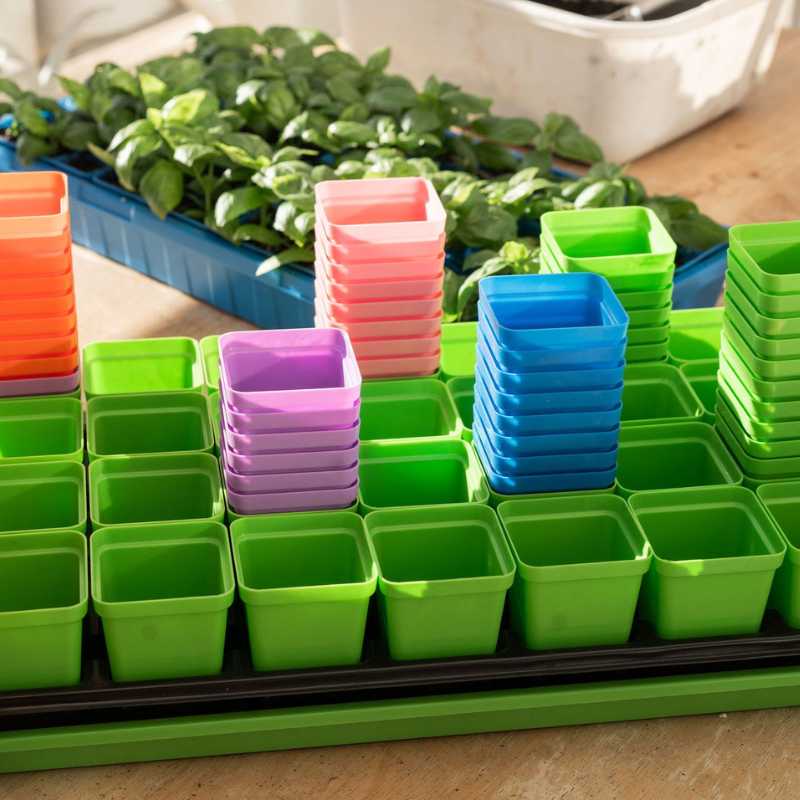 Classroom Seed Starting Bundle - Image 7