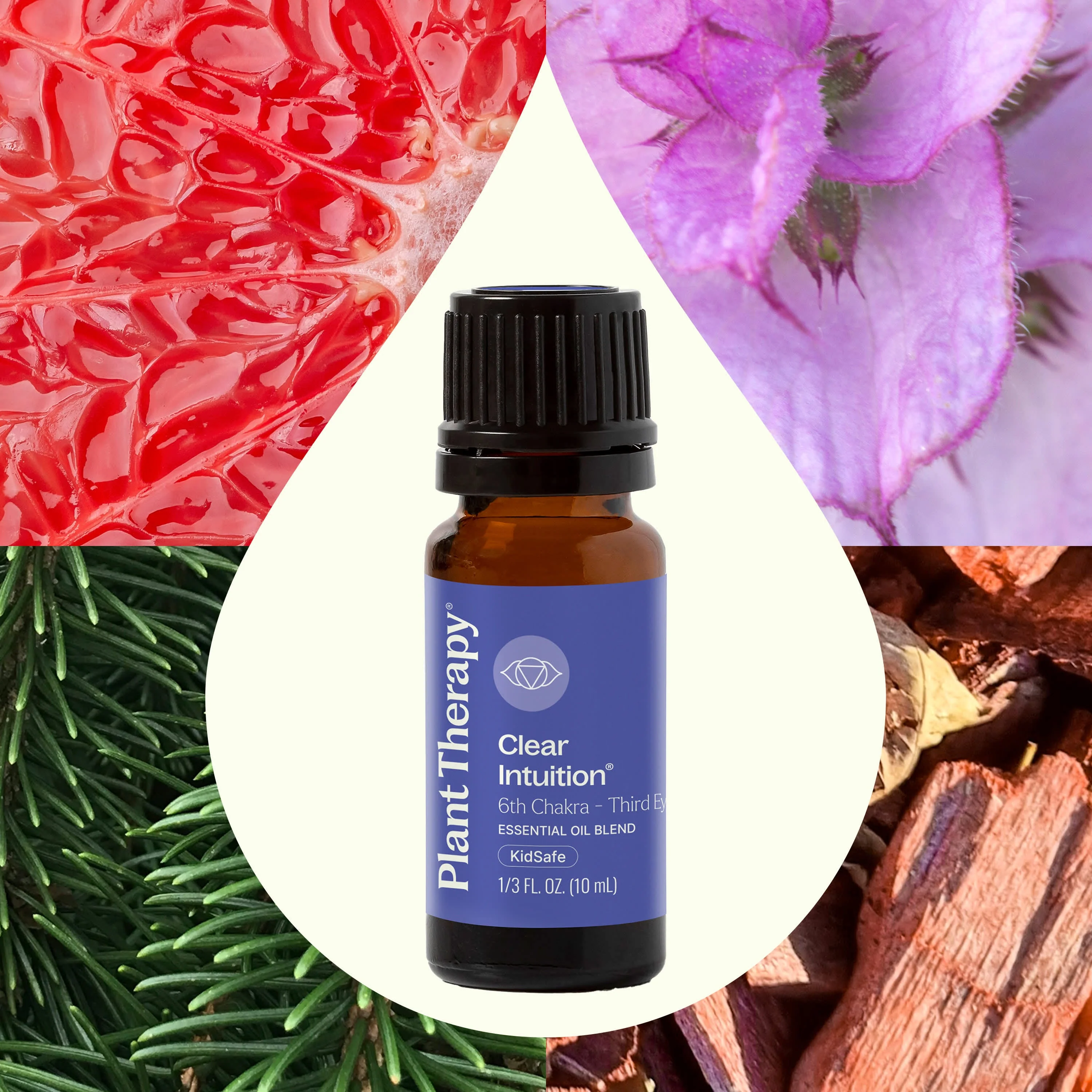Clear Intuition (Brow Chakra) Essential Oil 10 mL - Image 2