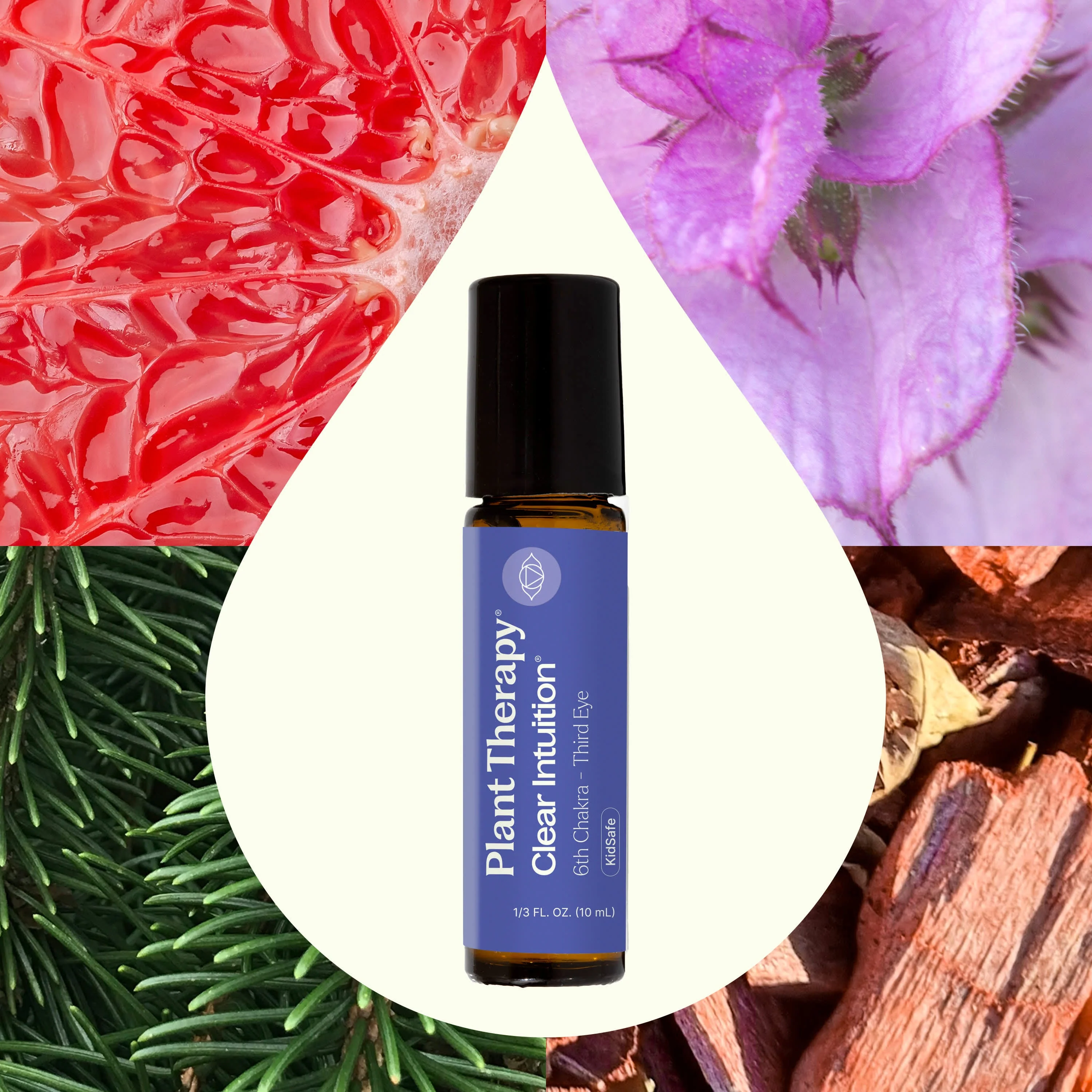 Clear Intuition (Brow Chakra) Pre-Diluted Essential Oil Blend Roll-On 10 mL - Image 2