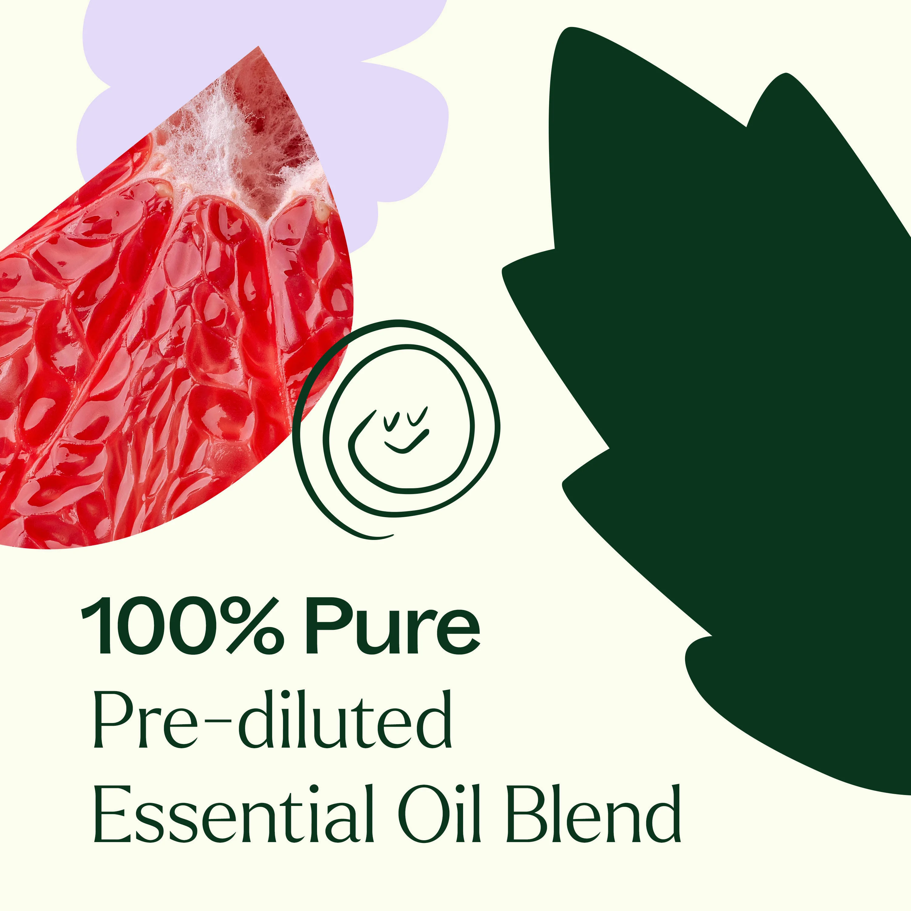Clear Intuition (Brow Chakra) Pre-Diluted Essential Oil Blend Roll-On 10 mL - Image 5