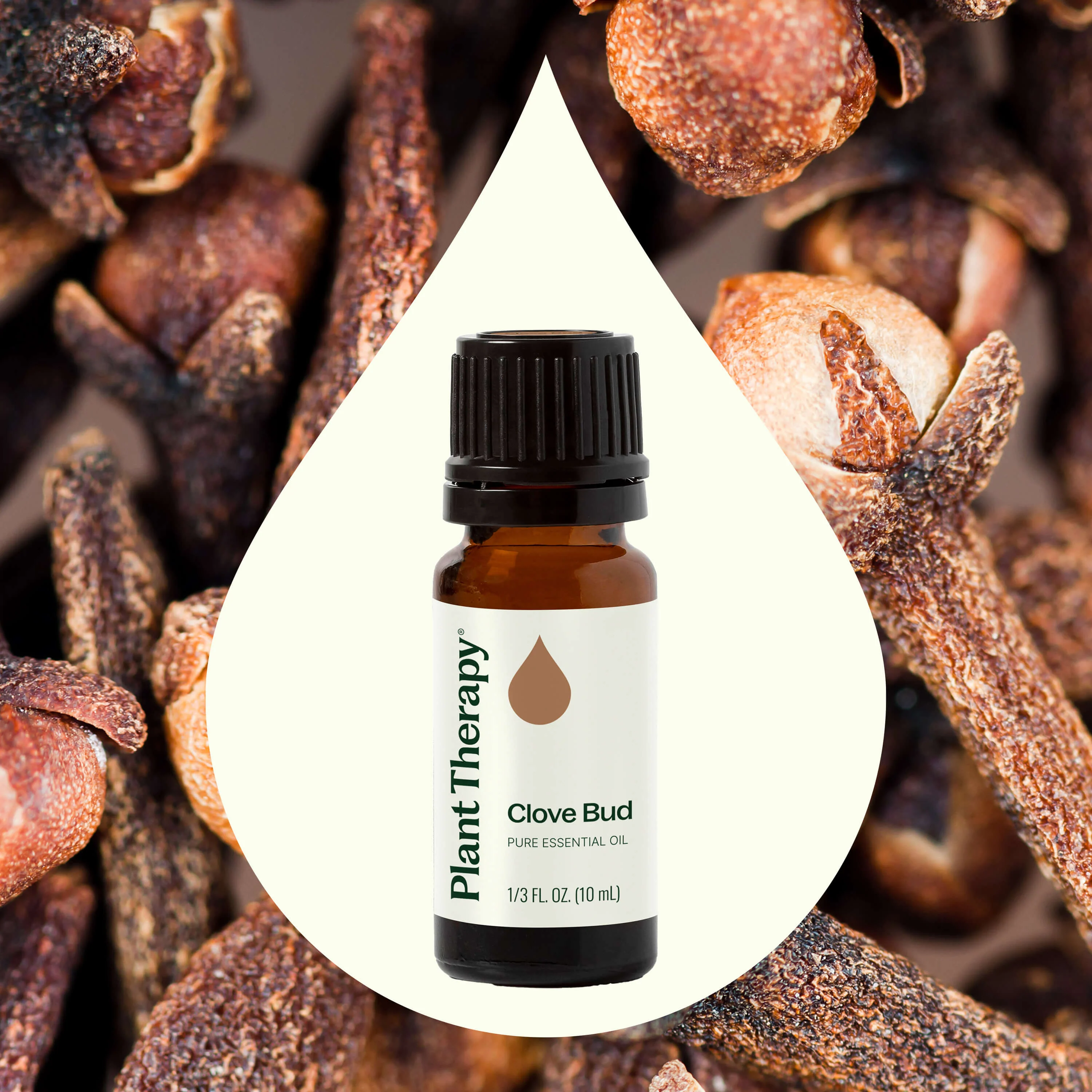 Clove Bud Essential Oil - Image 2