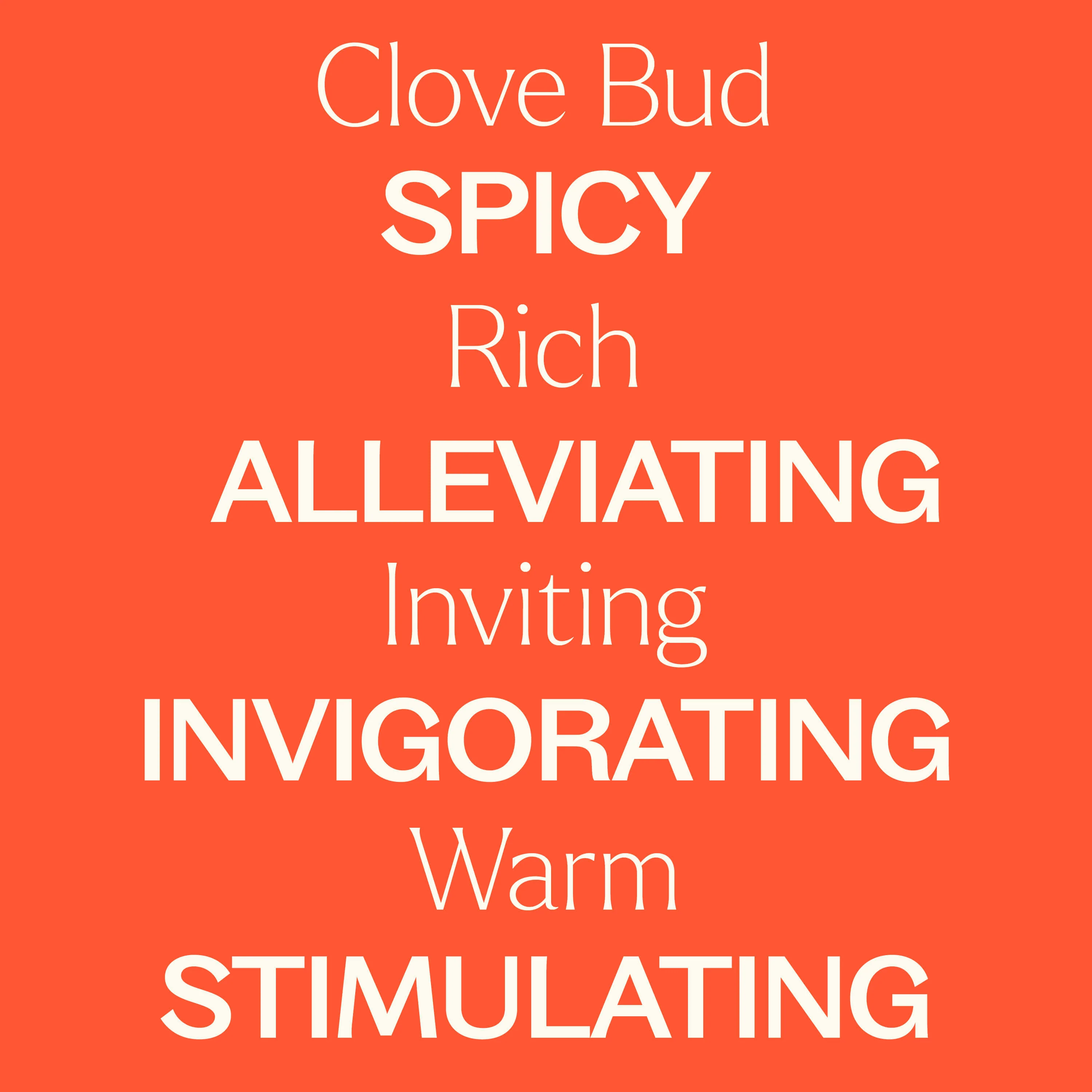 Clove Bud Essential Oil - Image 4
