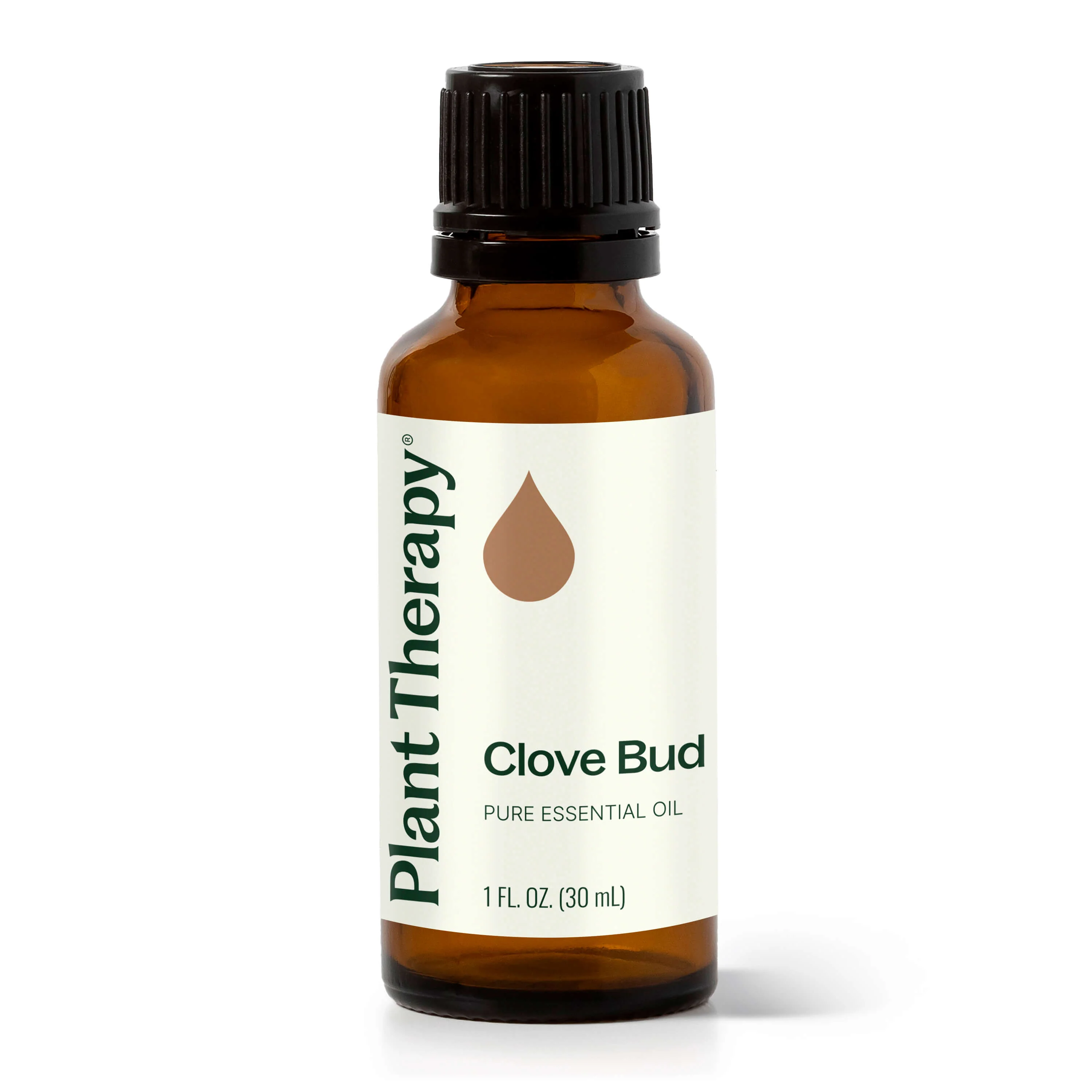 Clove Bud Essential Oil - Image 6