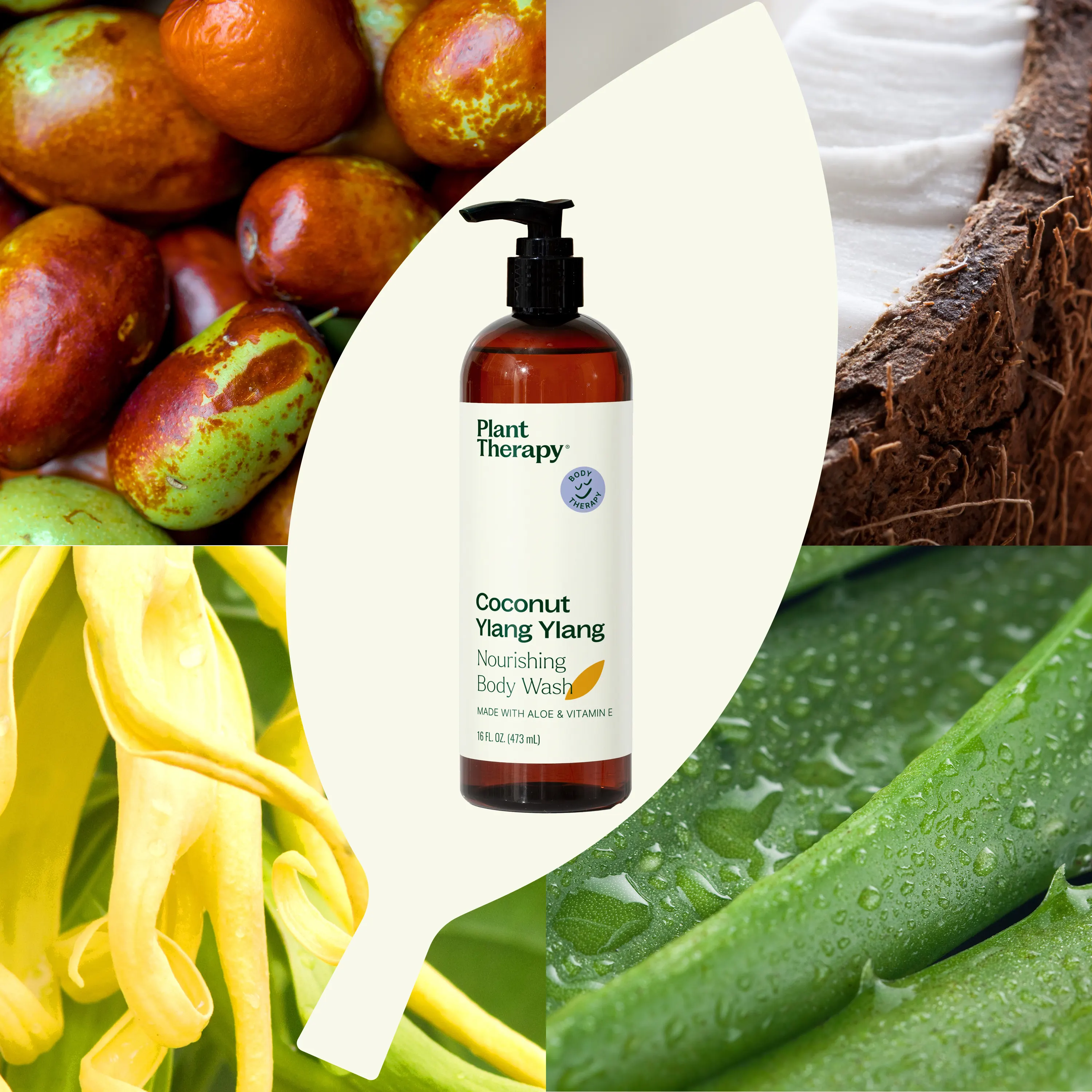 Coconut Ylang Ylang Body Wash - Image 2