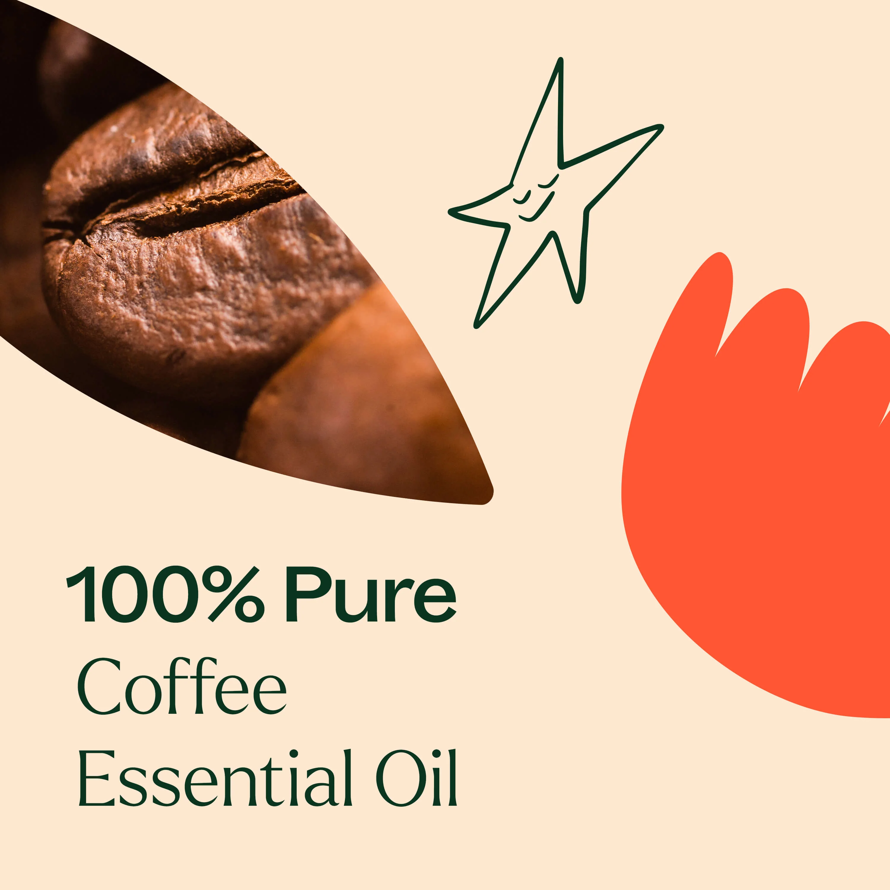Coffee Essential Oil - Image 4