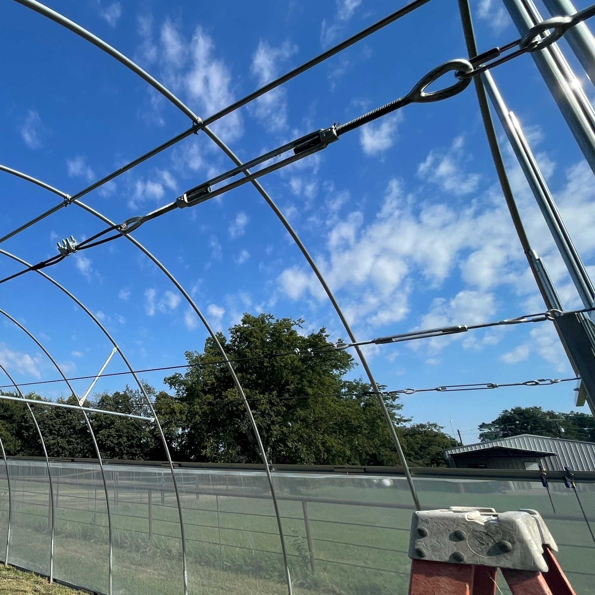 Complete Trellising System - Image 3