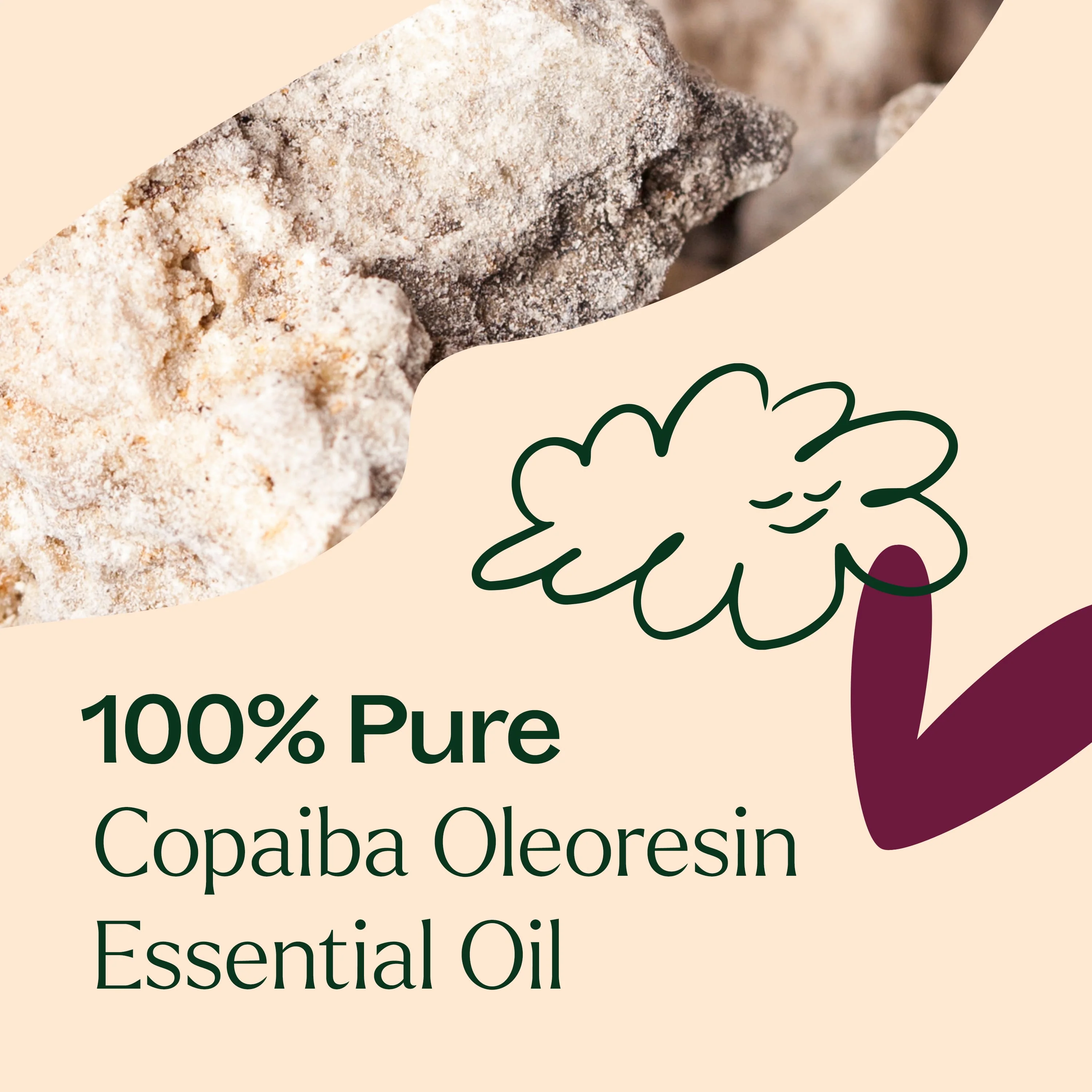 Copaiba Oleoresin - Image 4