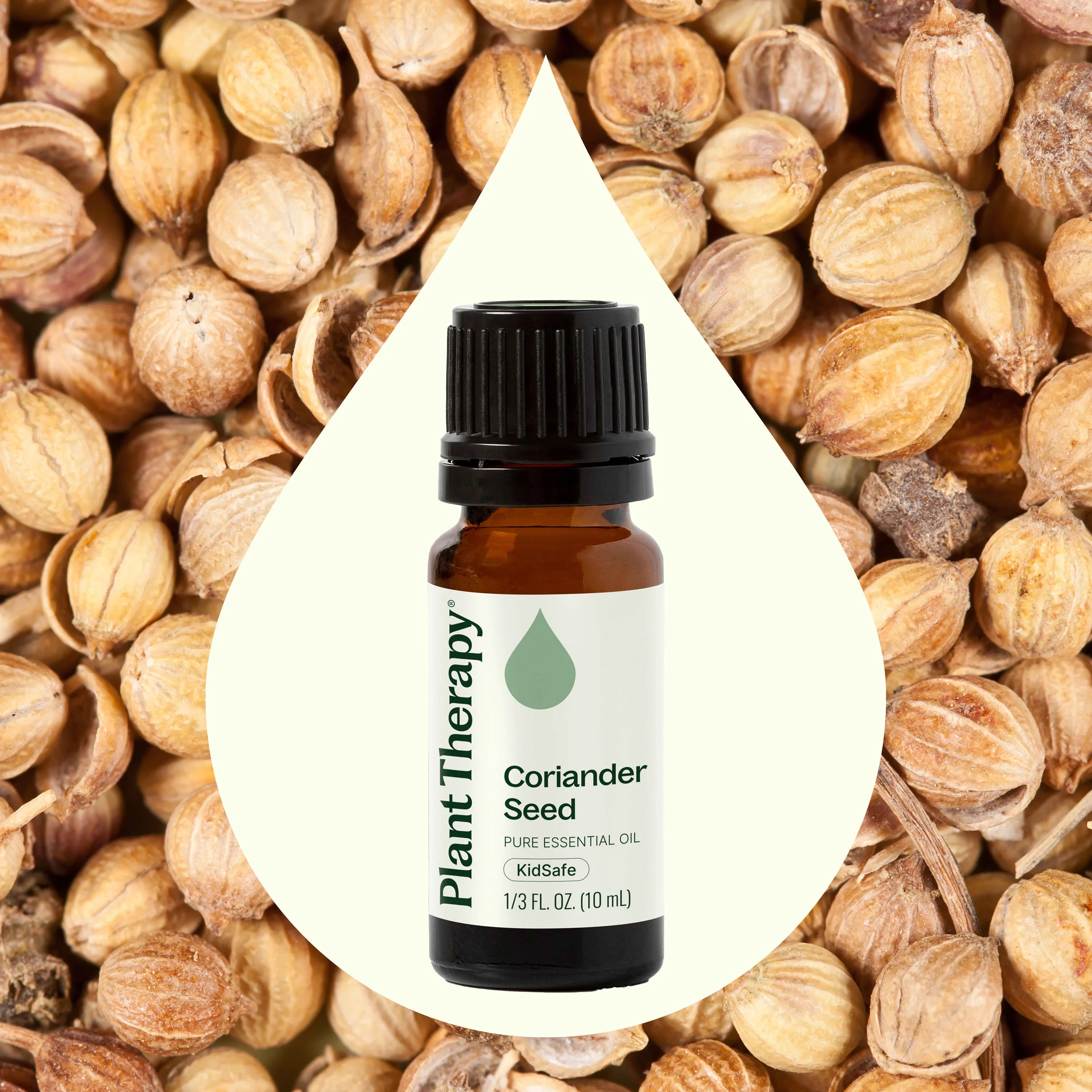Coriander Seed Essential Oil - Image 2