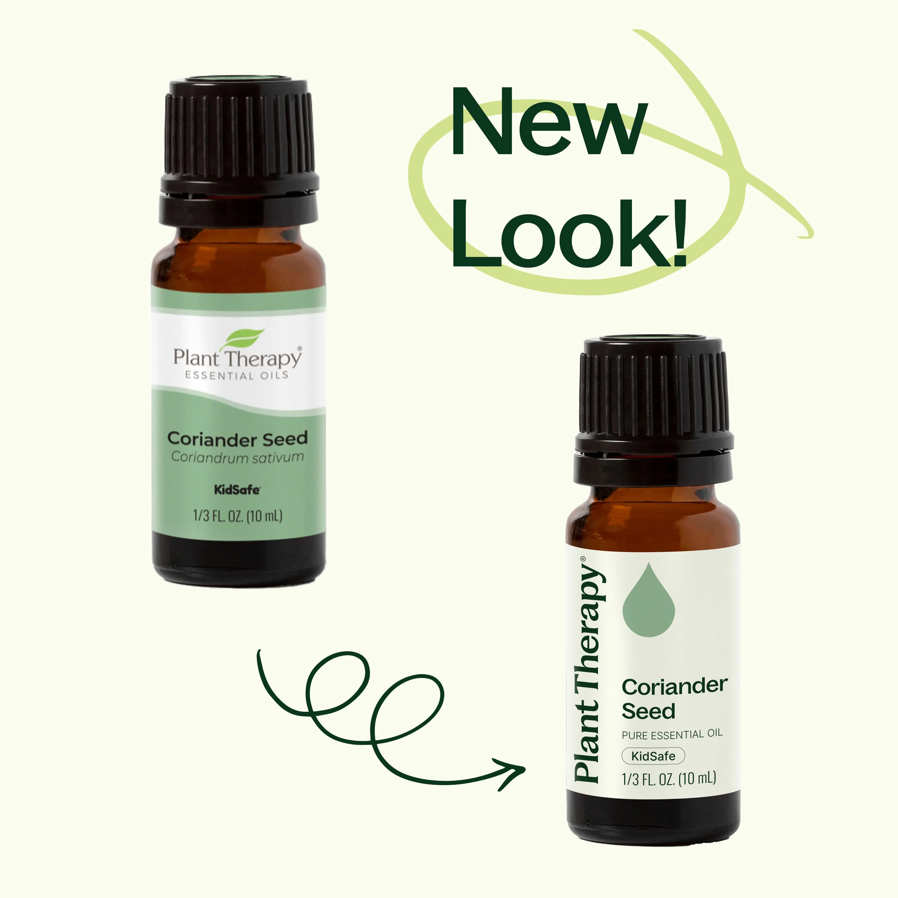 Coriander Seed Essential Oil - Image 3