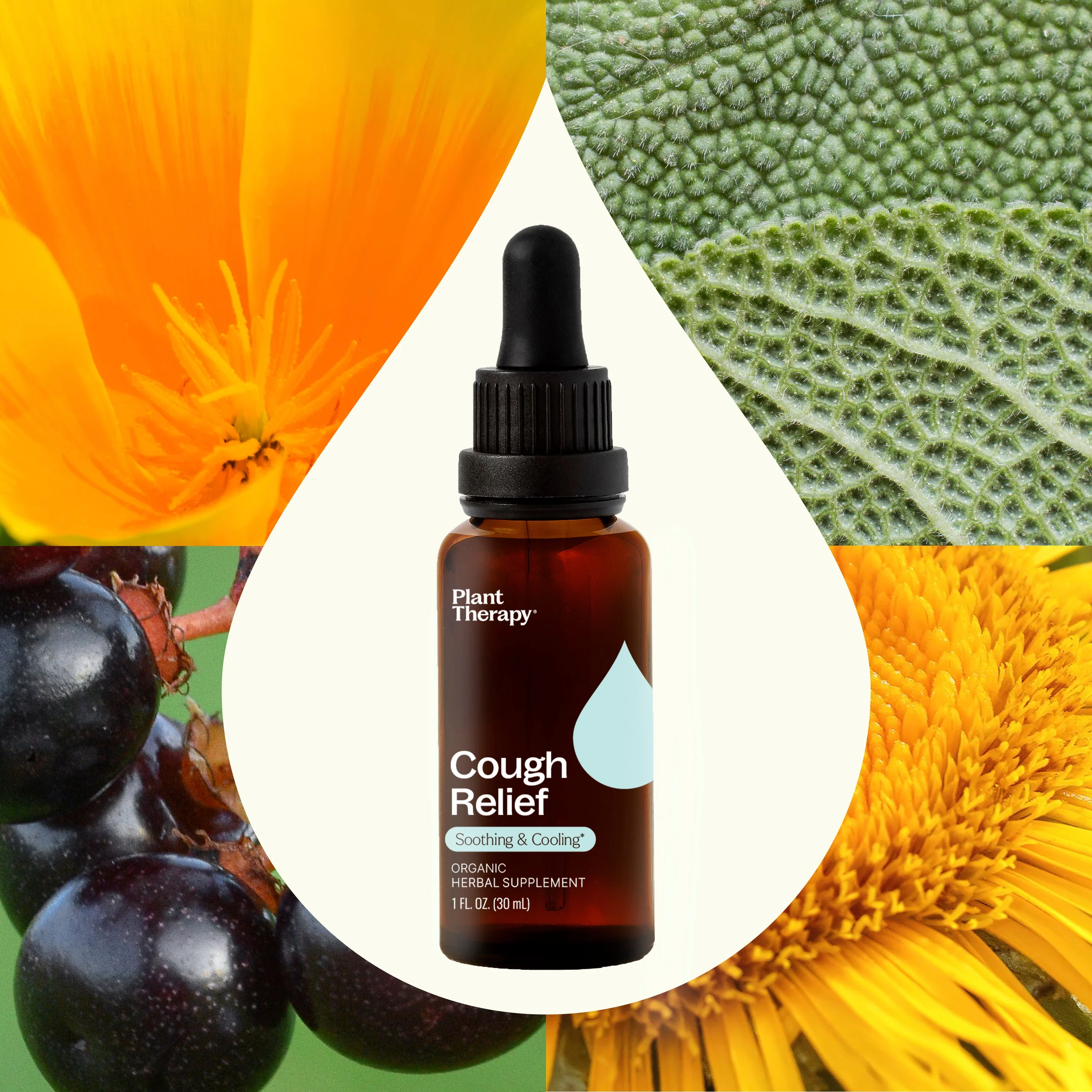 Cough Relief Organic Herbal Supplement - Image 4