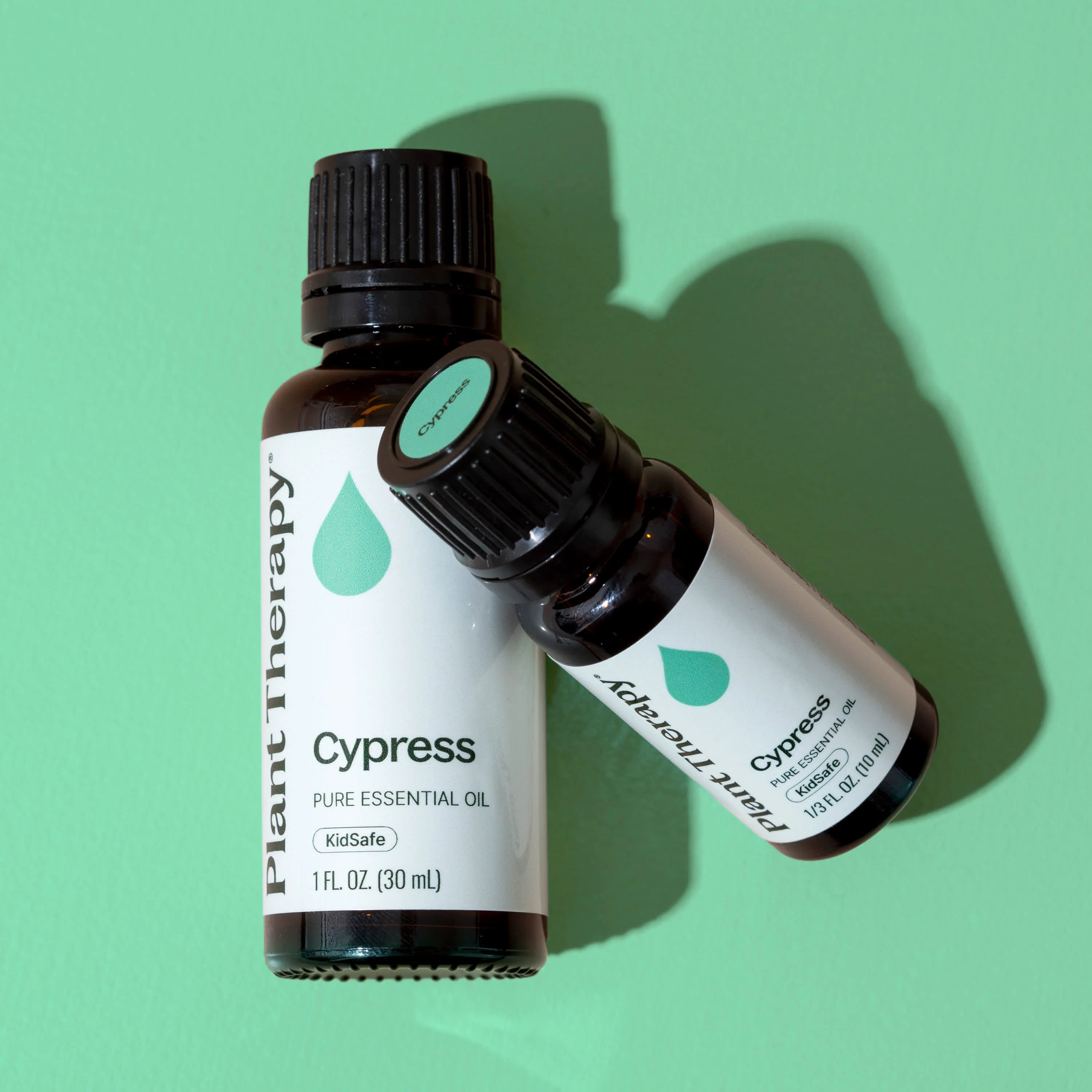 Cypress Essential Oil - Image 10