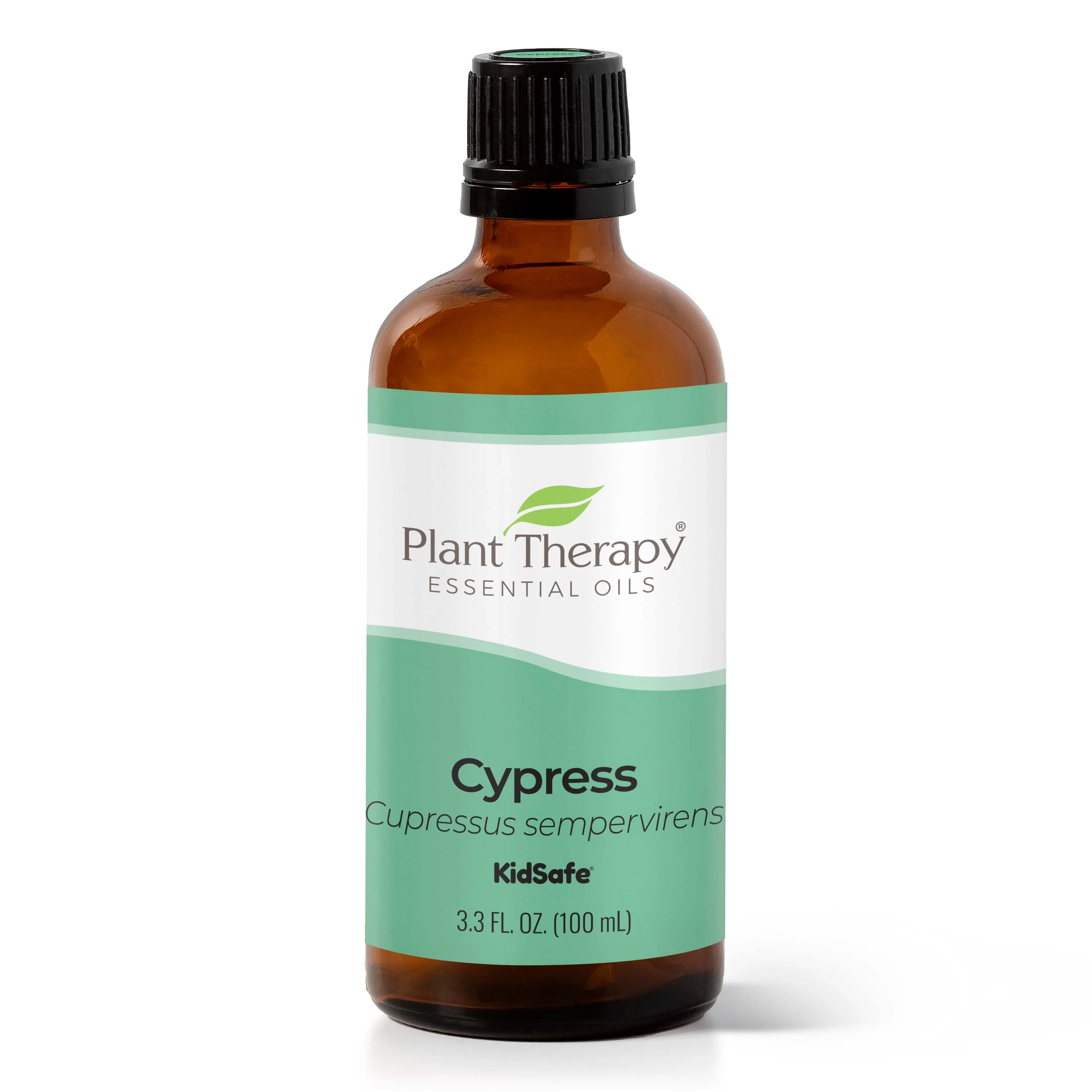 Cypress Essential Oil - Image 13