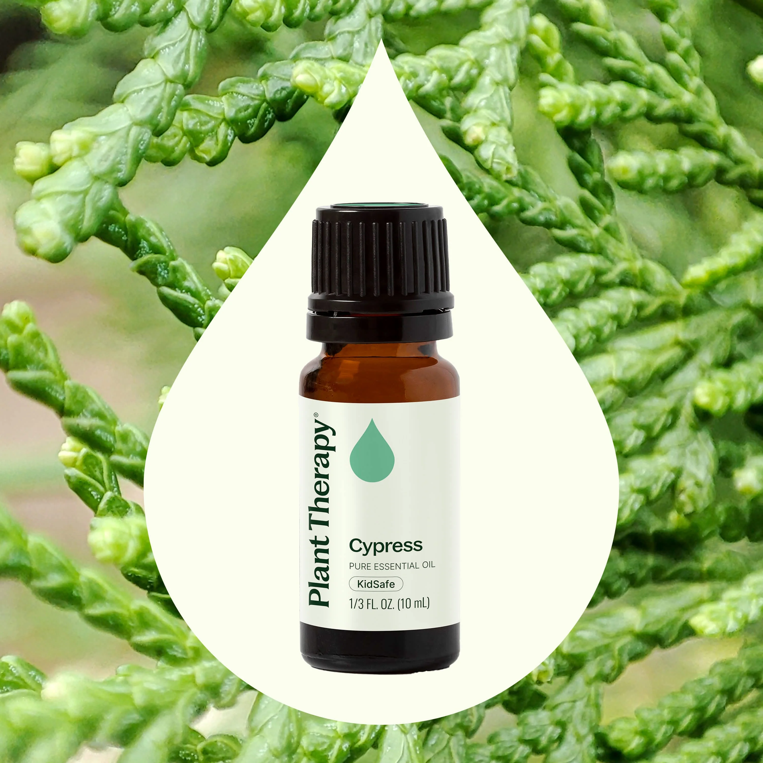 Cypress Essential Oil - Image 2