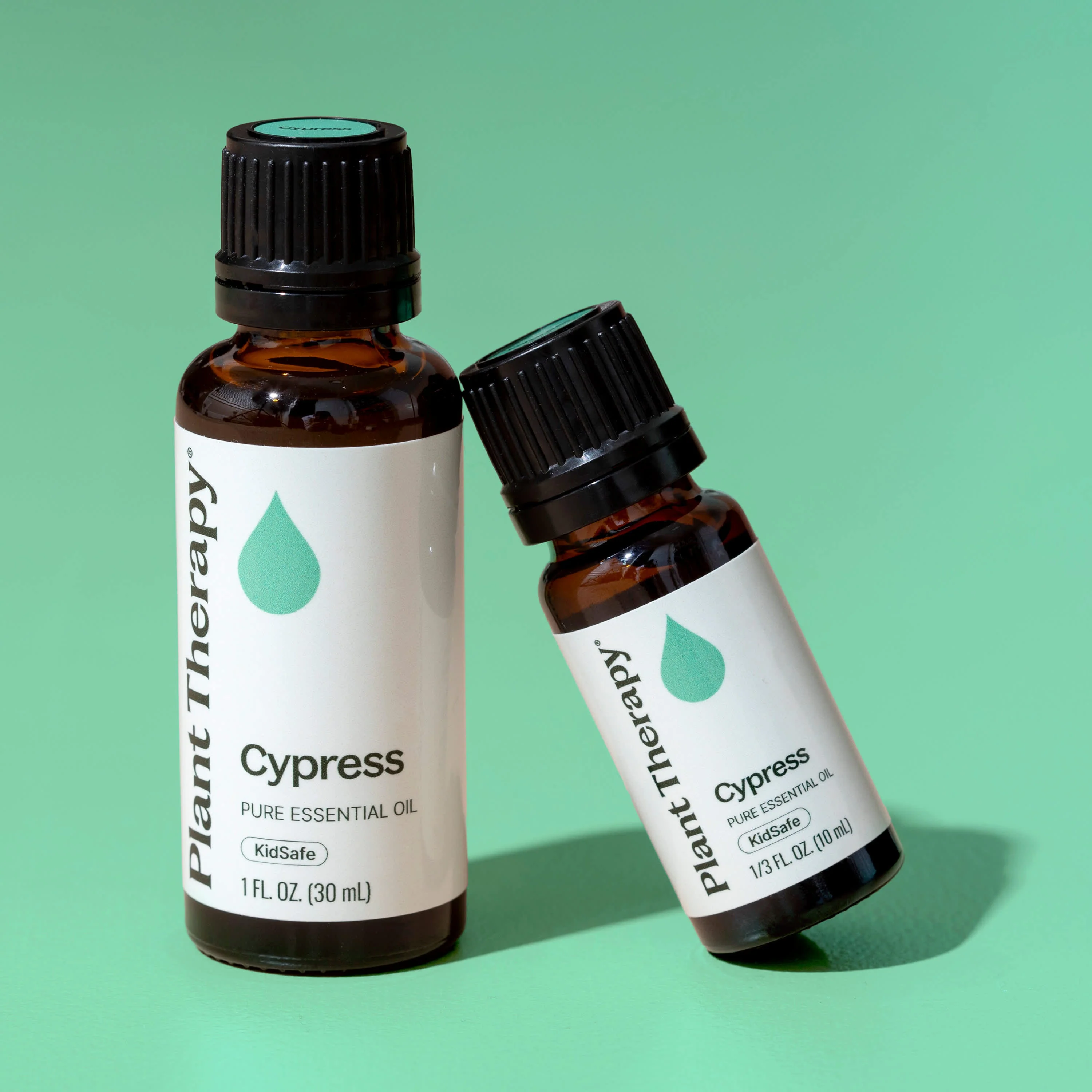 Cypress Essential Oil - Image 8
