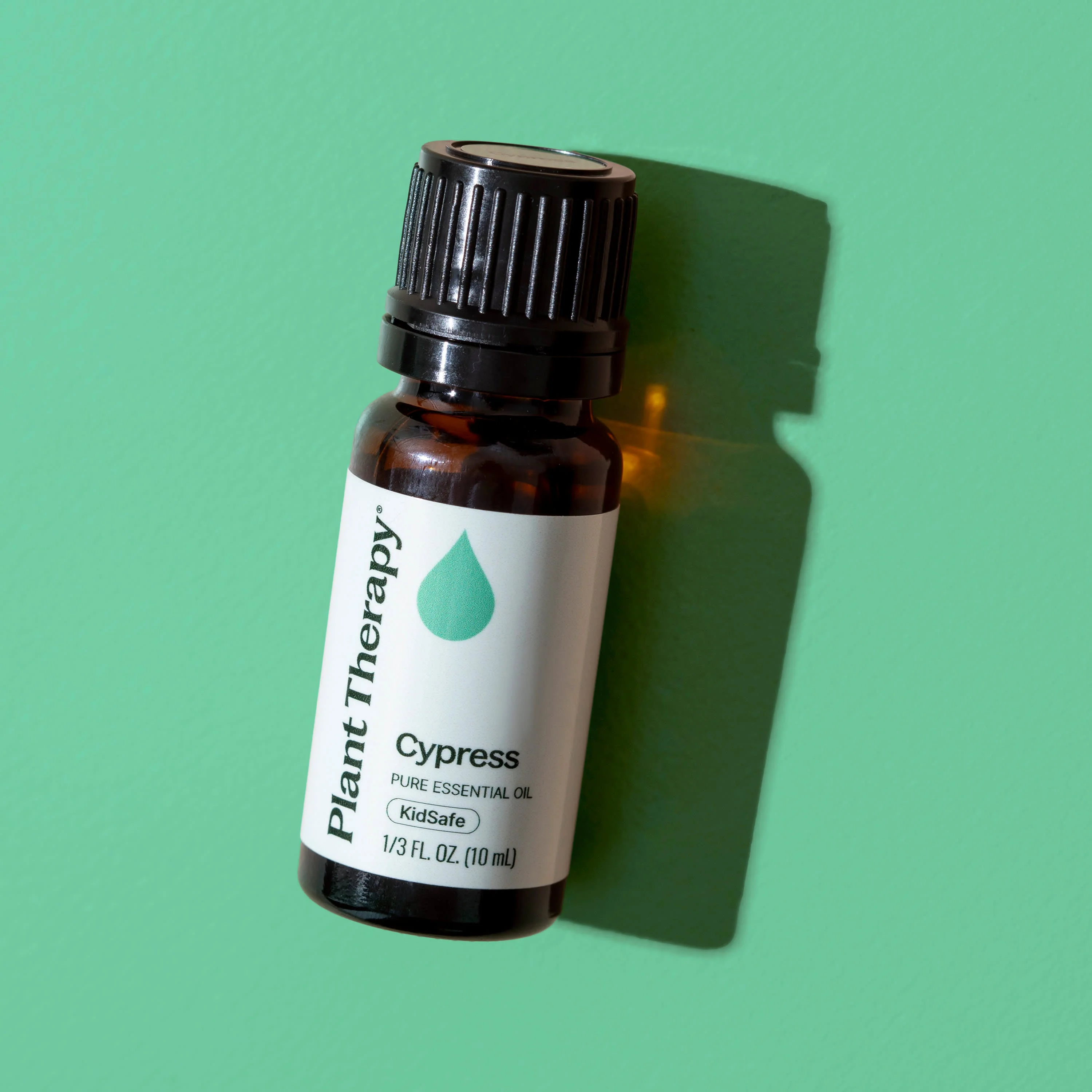 Cypress Essential Oil - Image 9