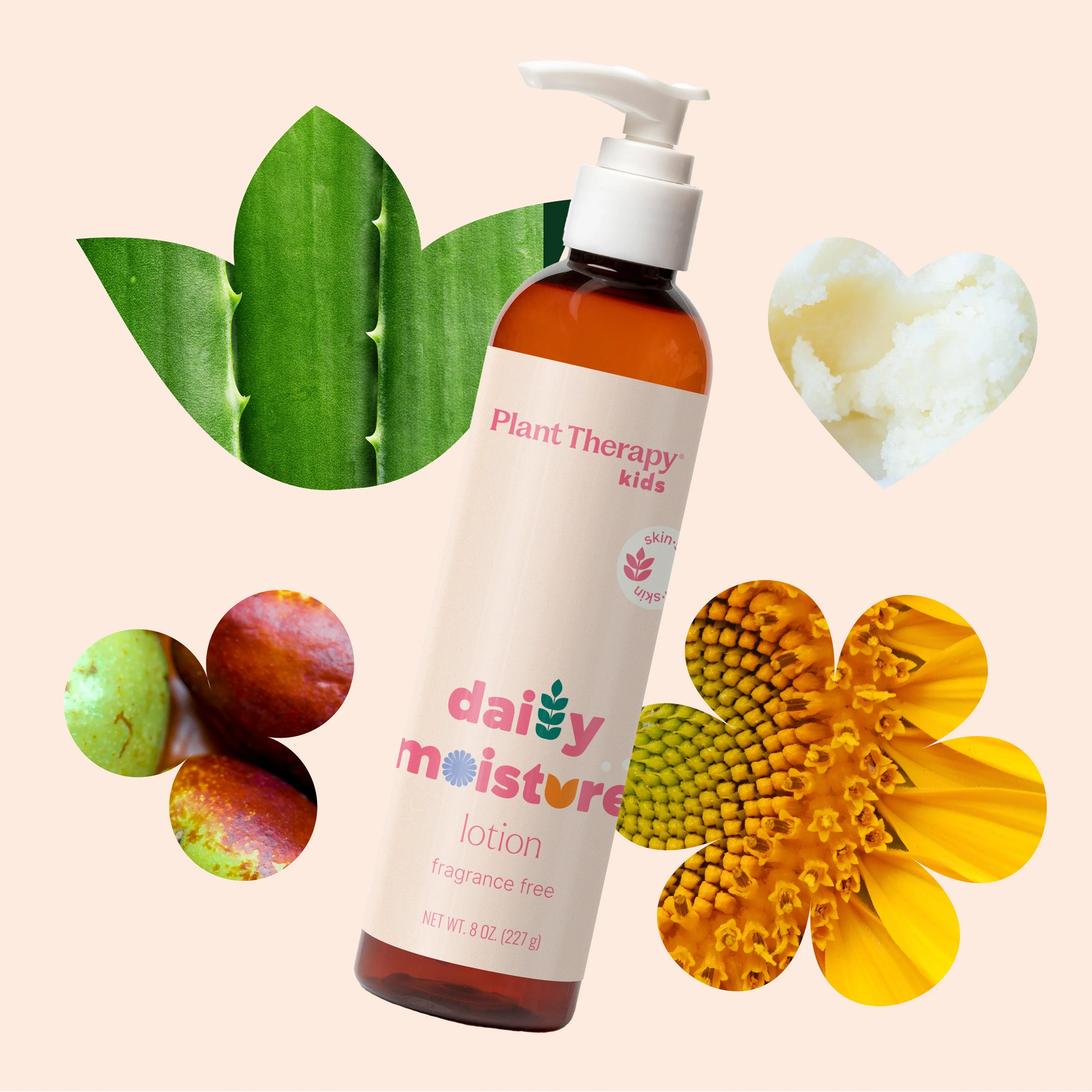 Daily Moisture Lotion - Image 2