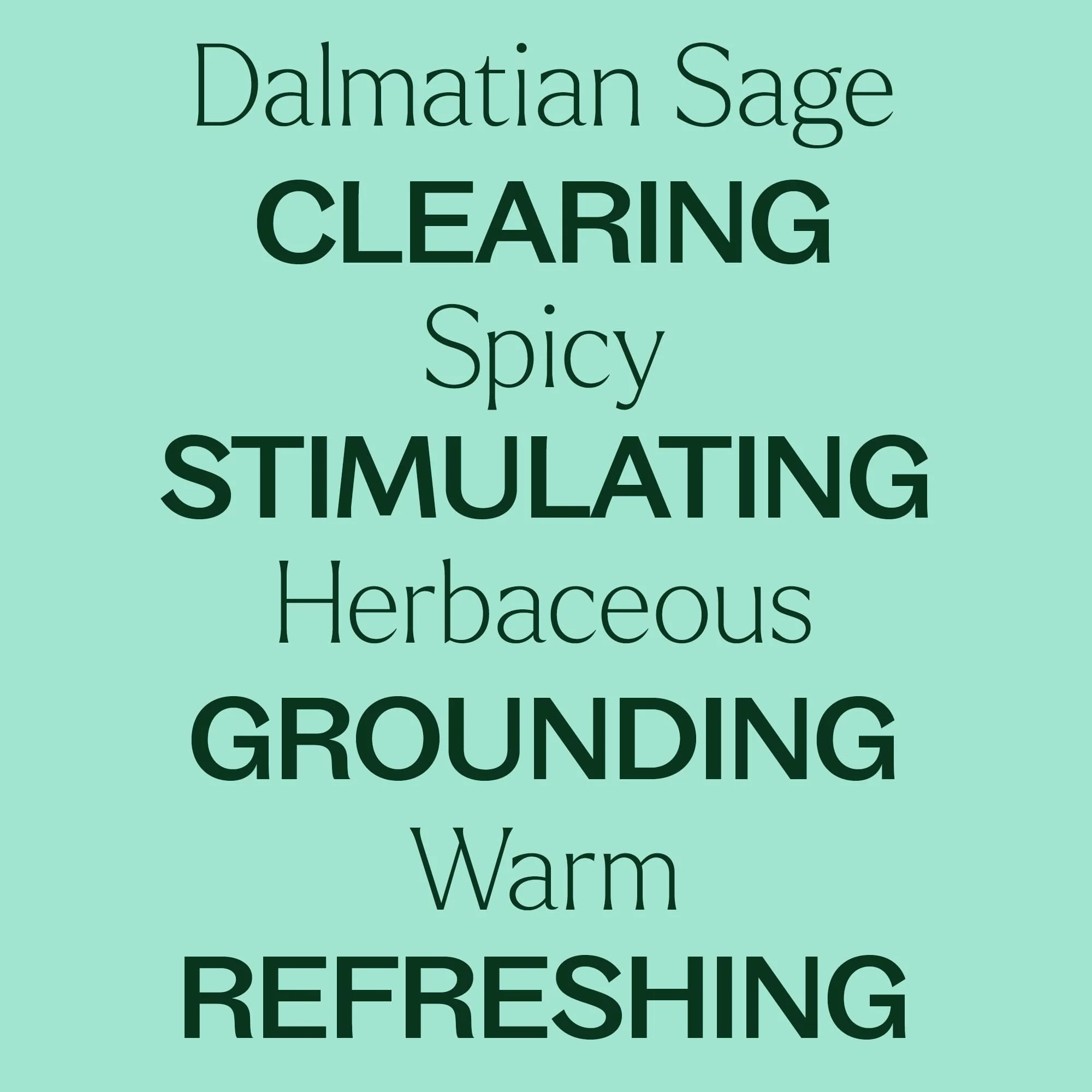 Dalmatian Sage Essential Oil - Image 6