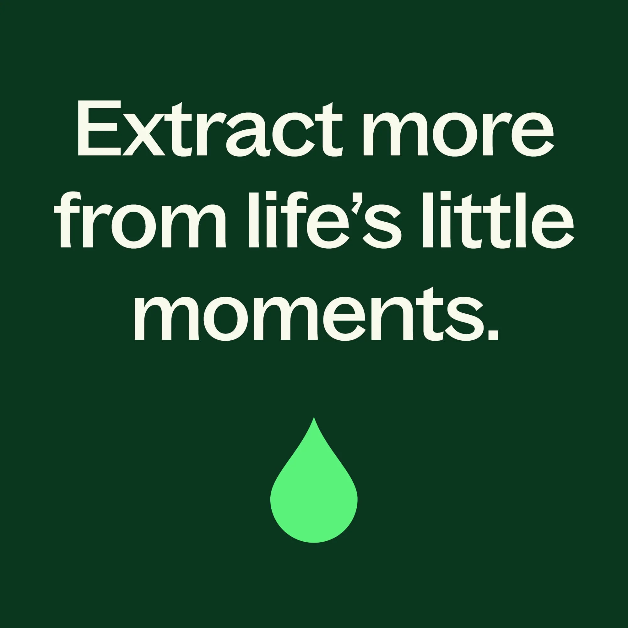 Dalmatian Sage Essential Oil - Image 7