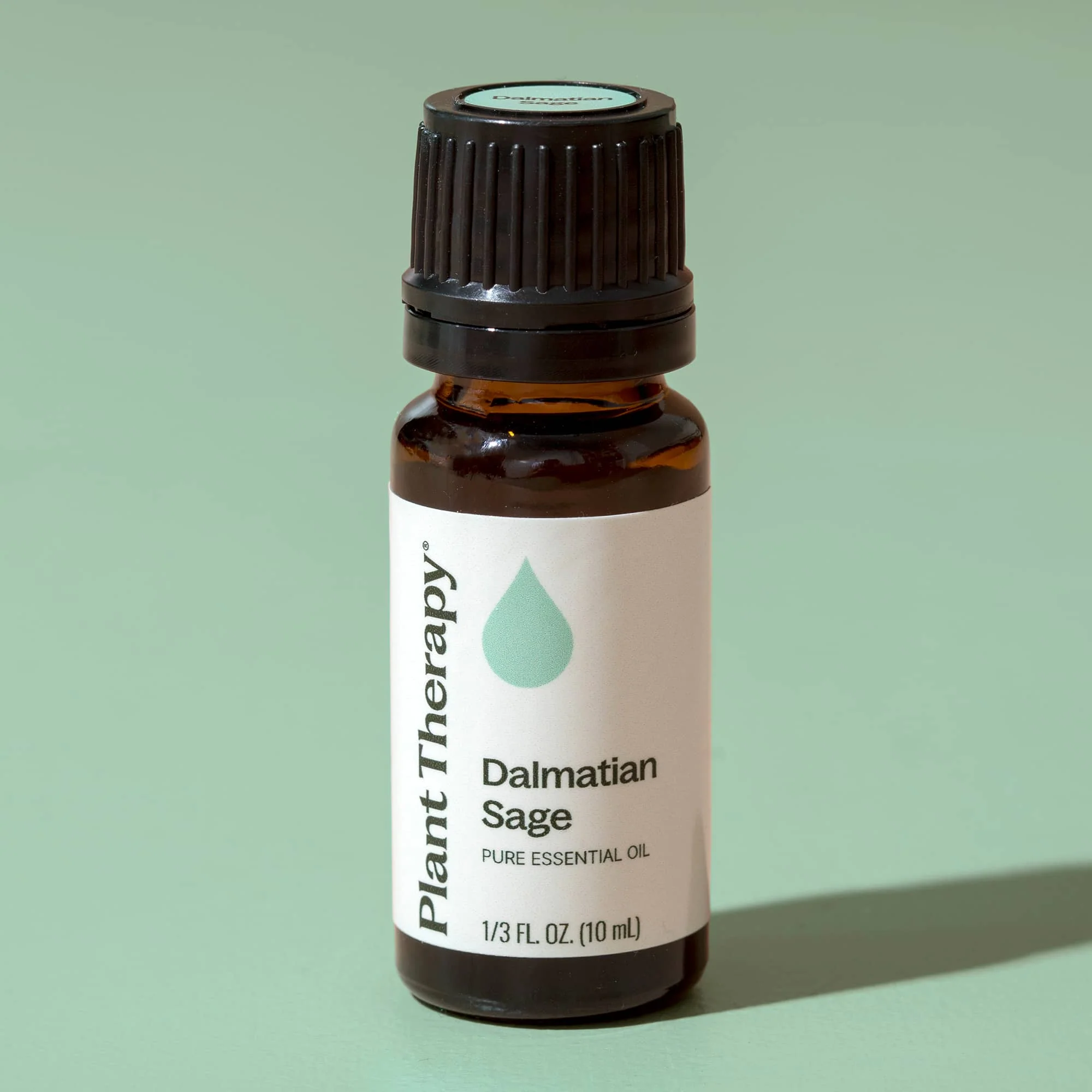 Dalmatian Sage Essential Oil - Image 8