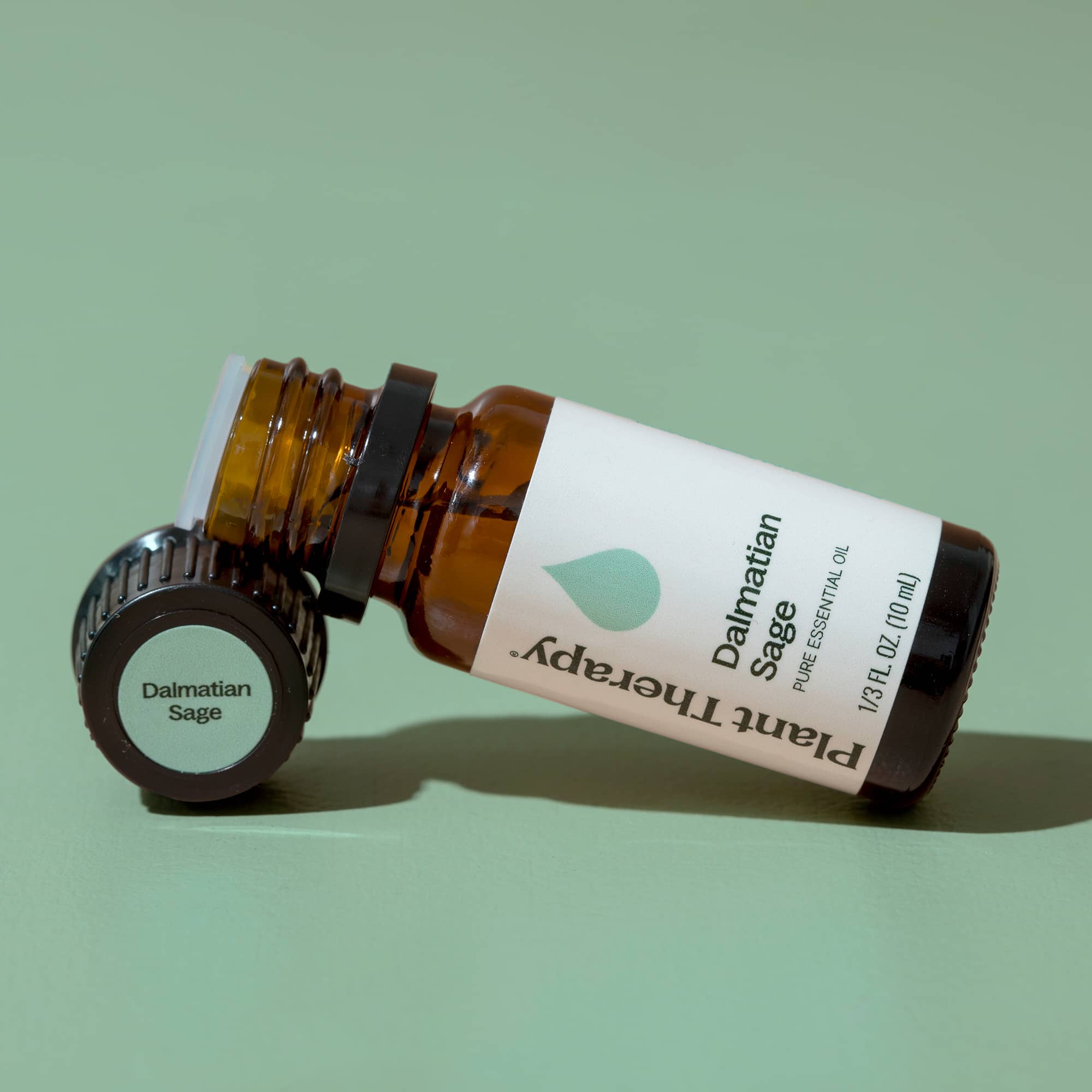 Dalmatian Sage Essential Oil - Image 9