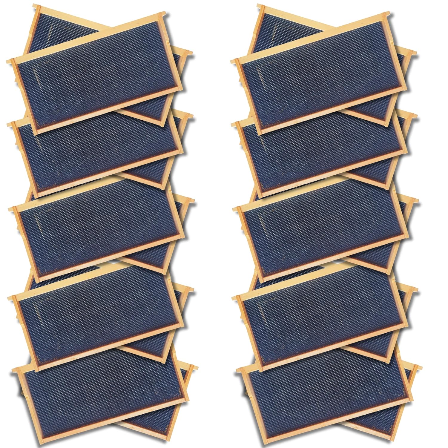 Deep 9 1/8-Inch Langsroth Frame, Grooved Top / Grooved Bottom With Double Wax Foundation - Image 10