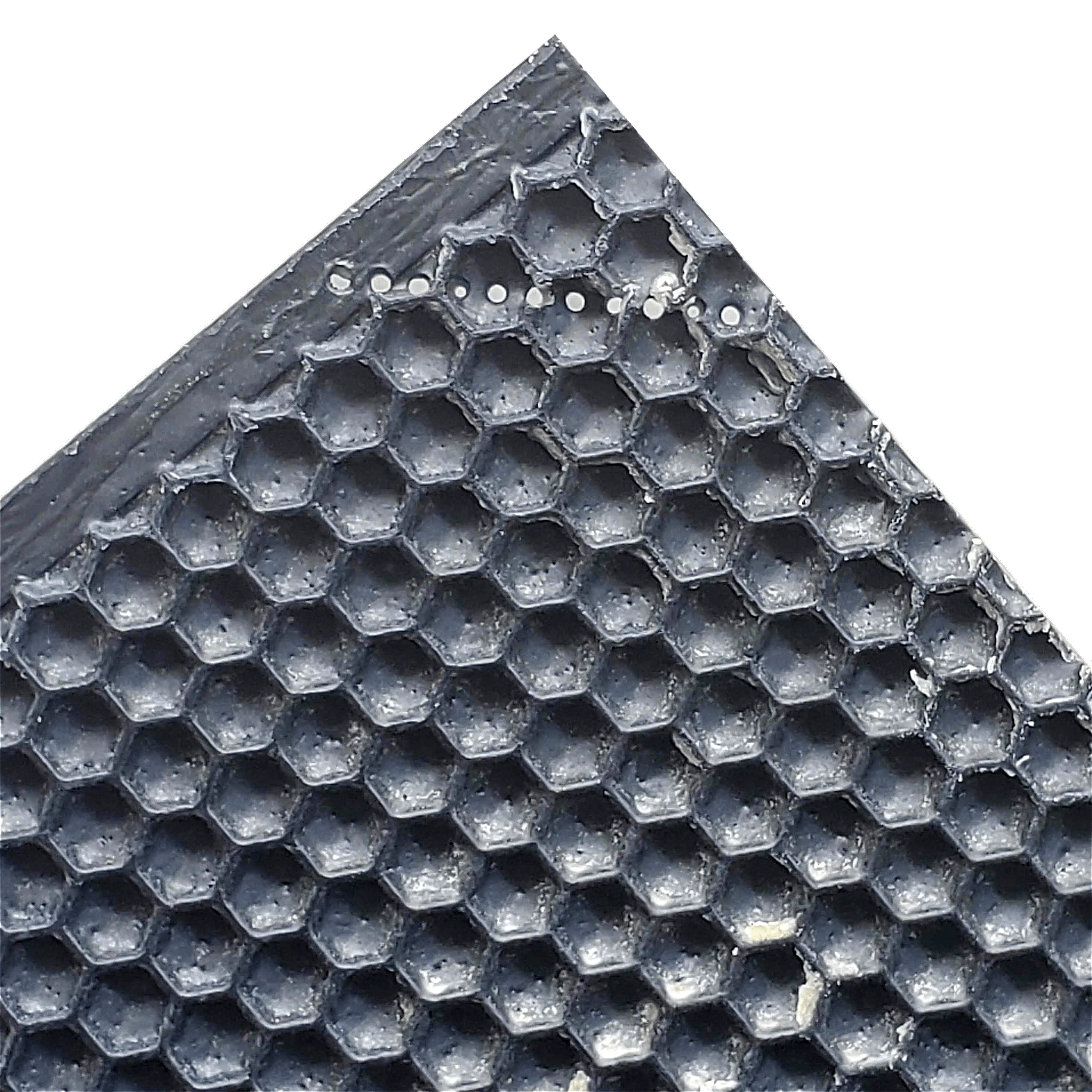 Deep, Black Plastic Foundation with Double Beeswax - Image 6