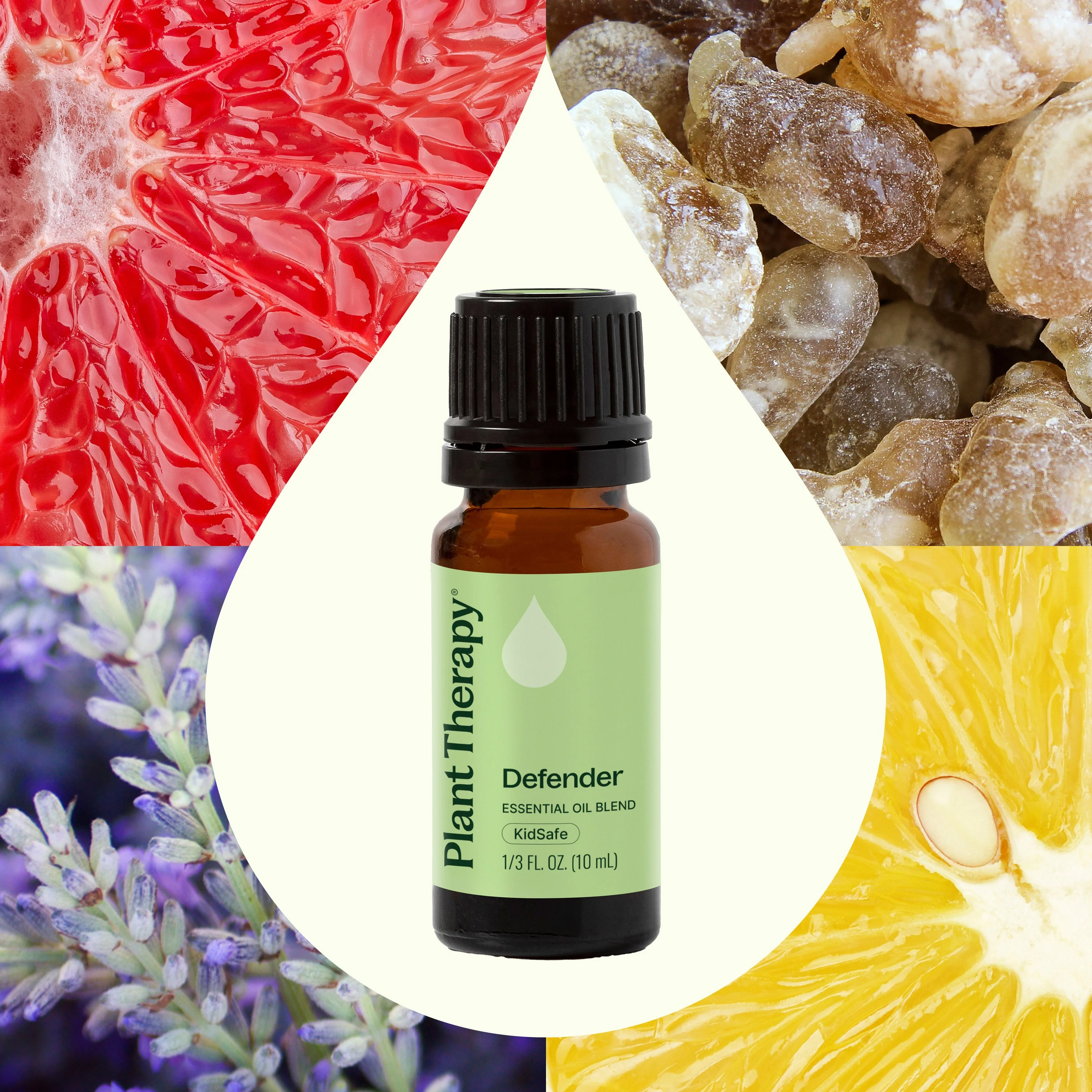 Defender Essential Oil Blend - Image 2