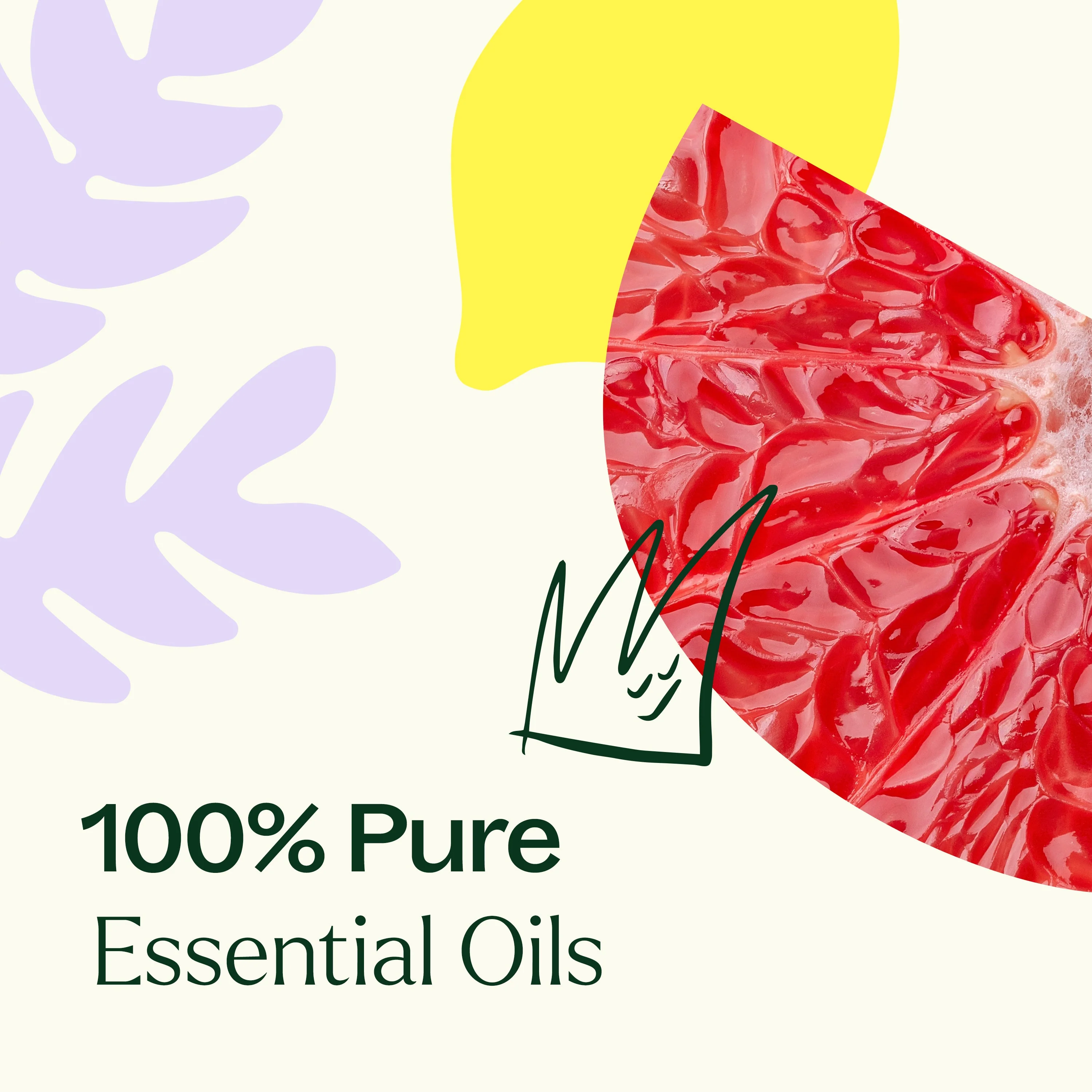Defender Essential Oil Blend - Image 4
