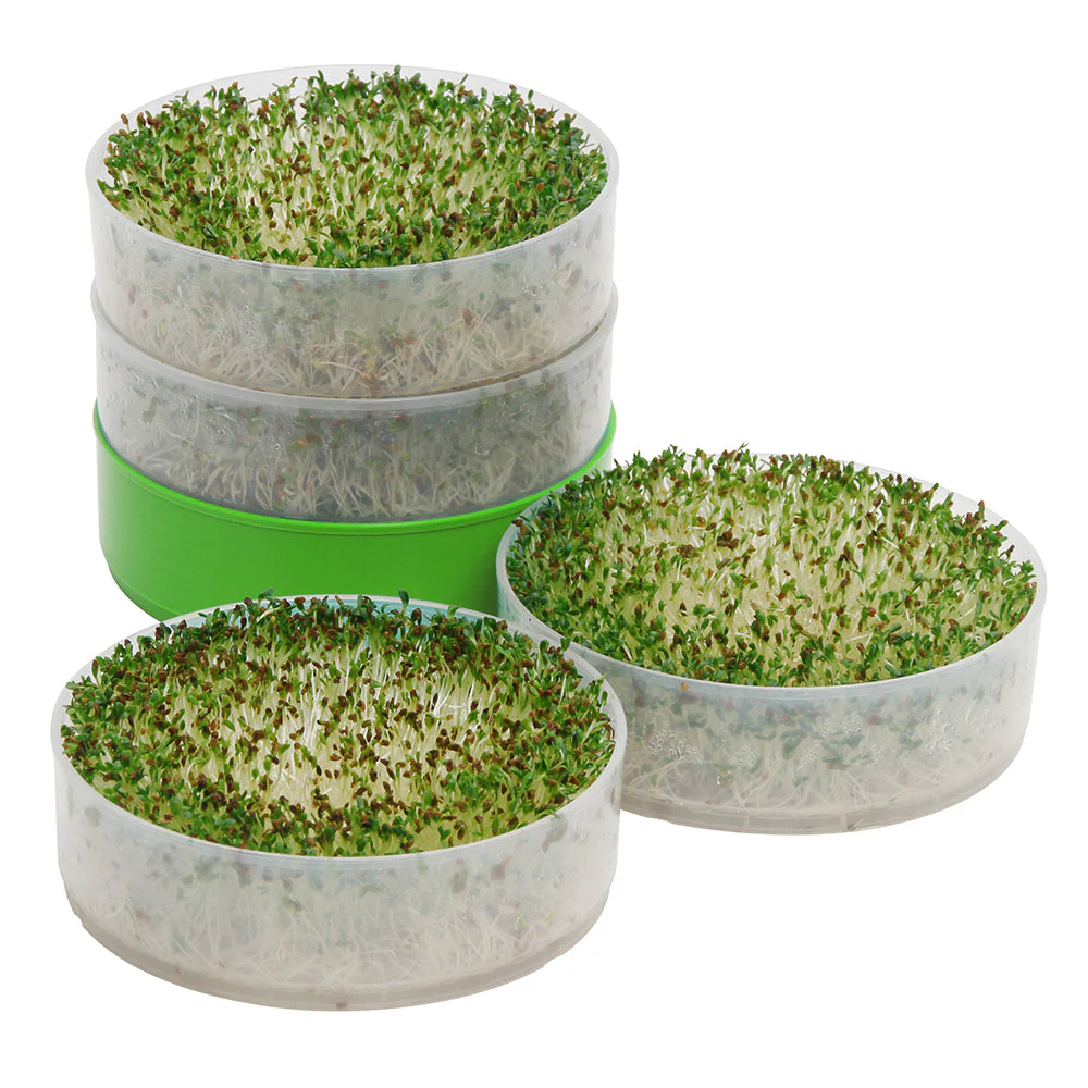 Deluxe Kitchen Crop Seed Sprouter - Image 4