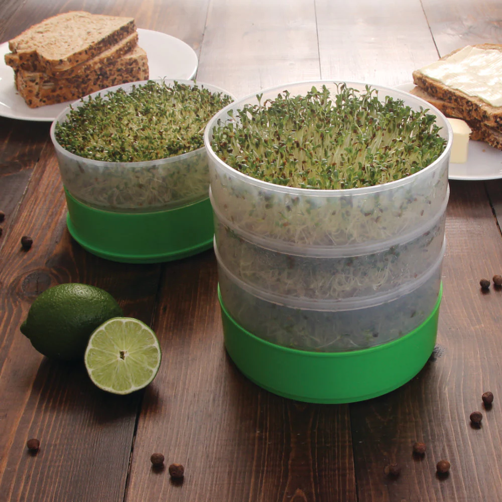 Deluxe Kitchen Crop Seed Sprouter - Image 6