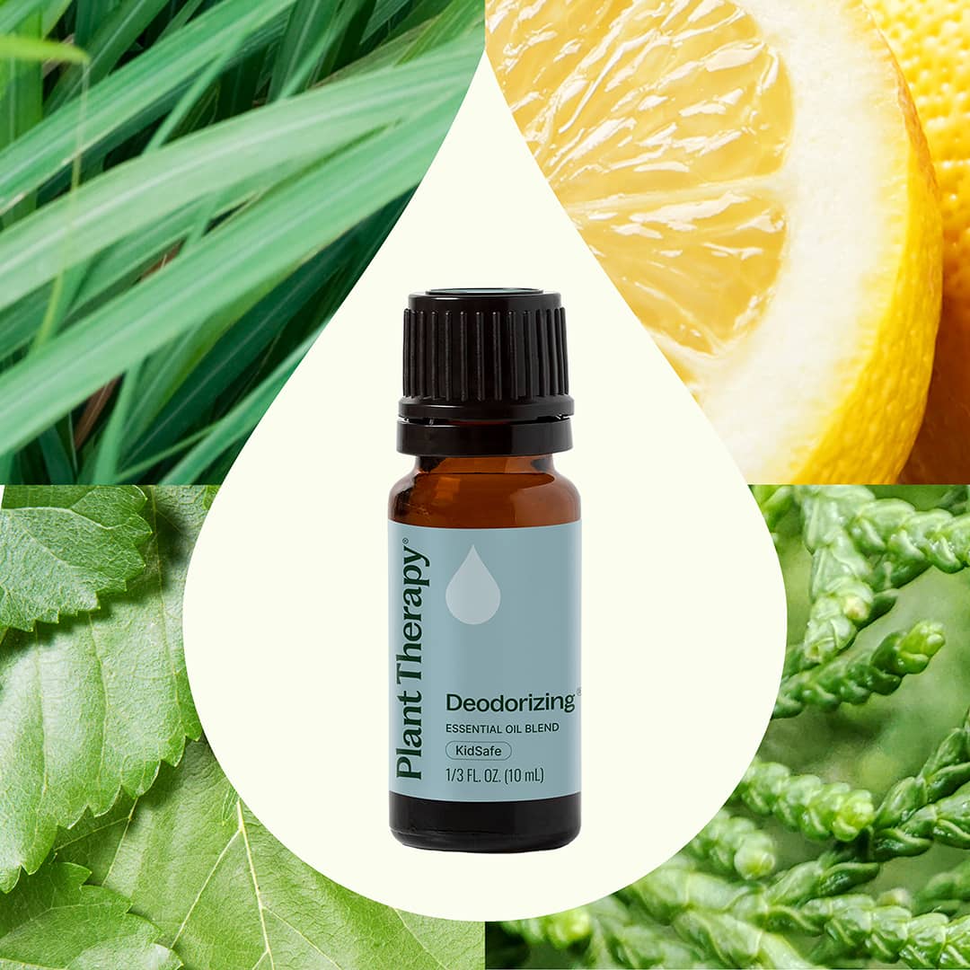 Deodorizing Essential Oil Blend - Image 2