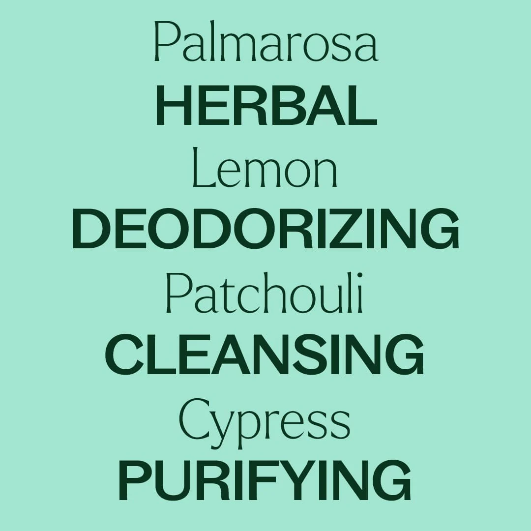 Deodorizing Essential Oil Blend - Image 4