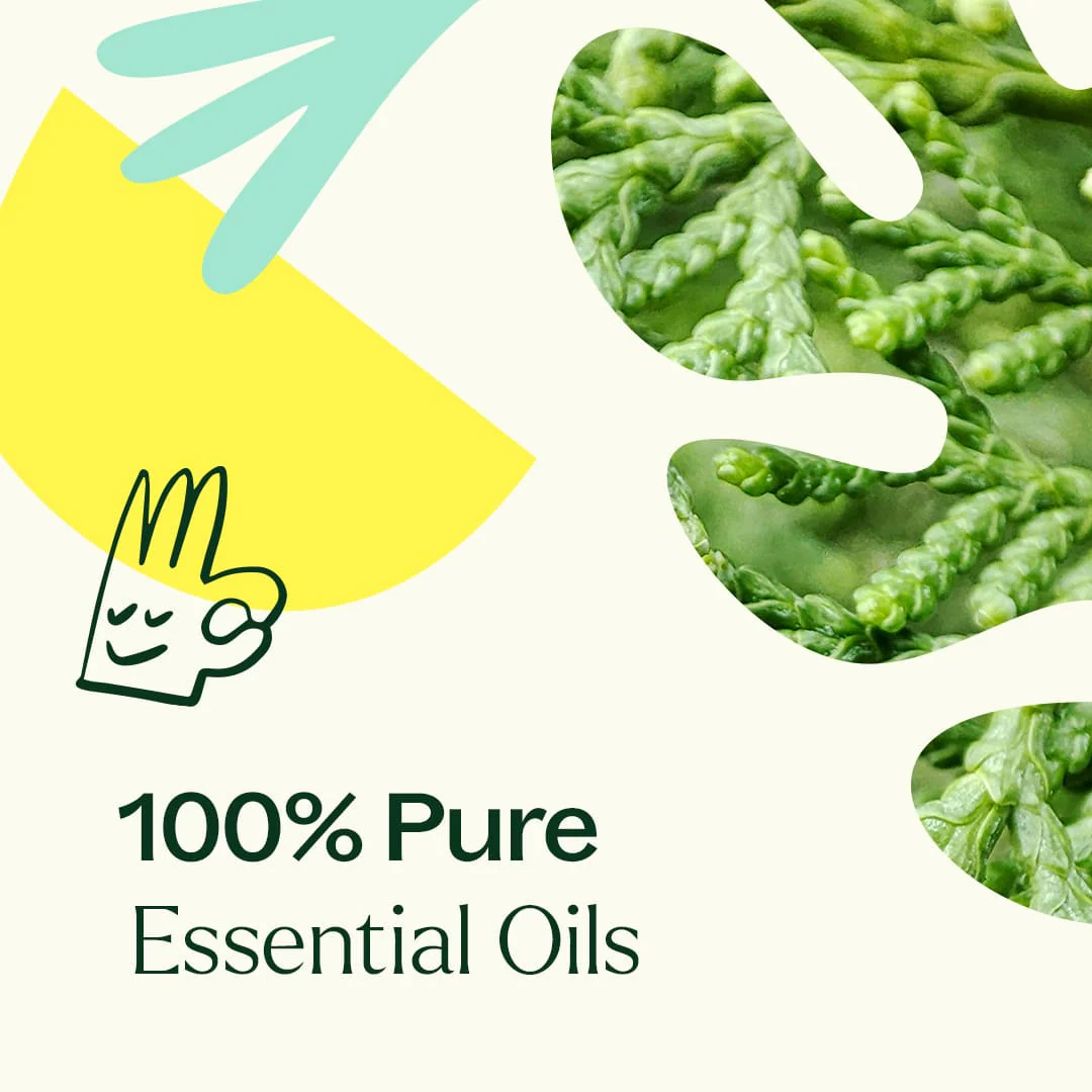 Deodorizing Essential Oil Blend - Image 5